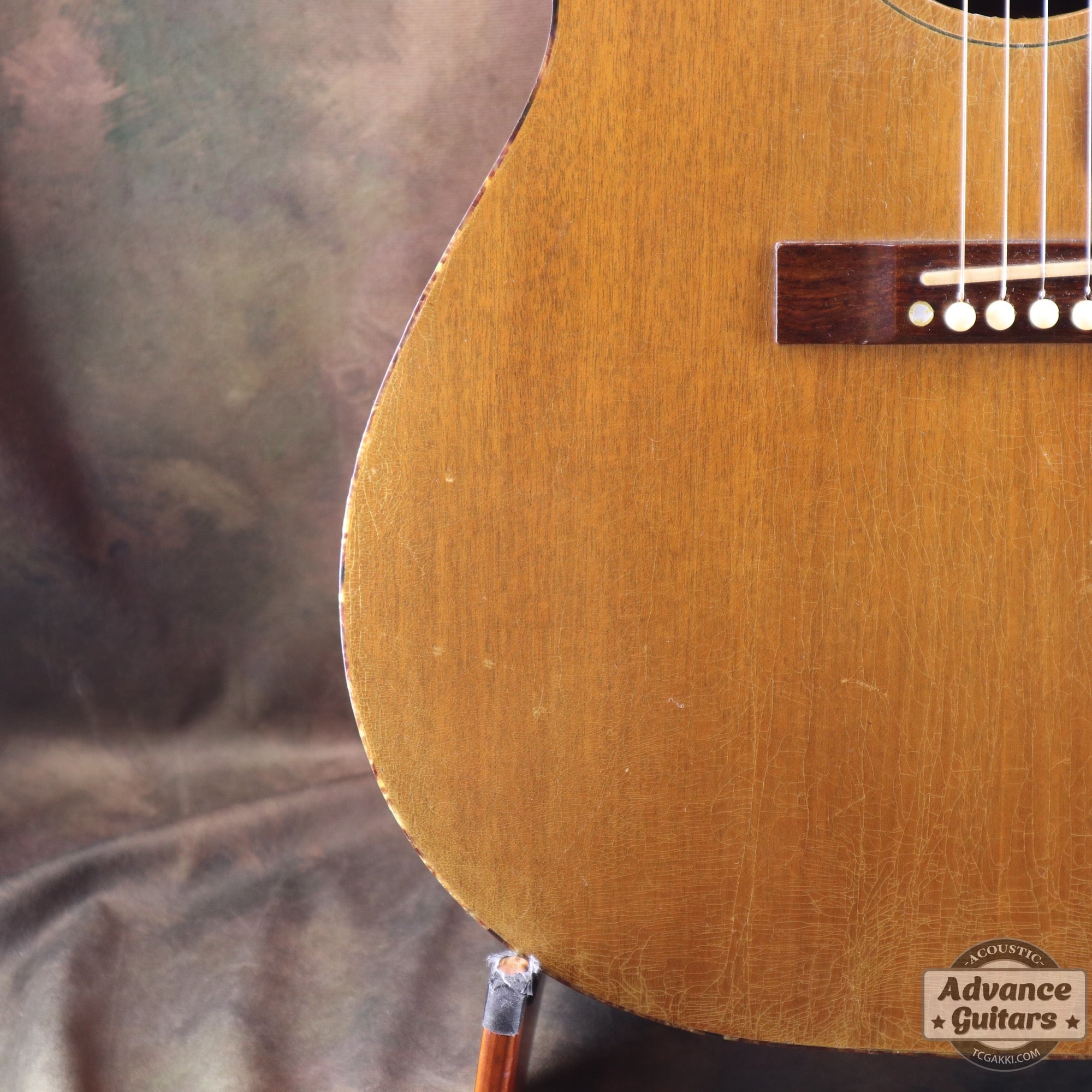 Gibson 1965年製 TG-0　