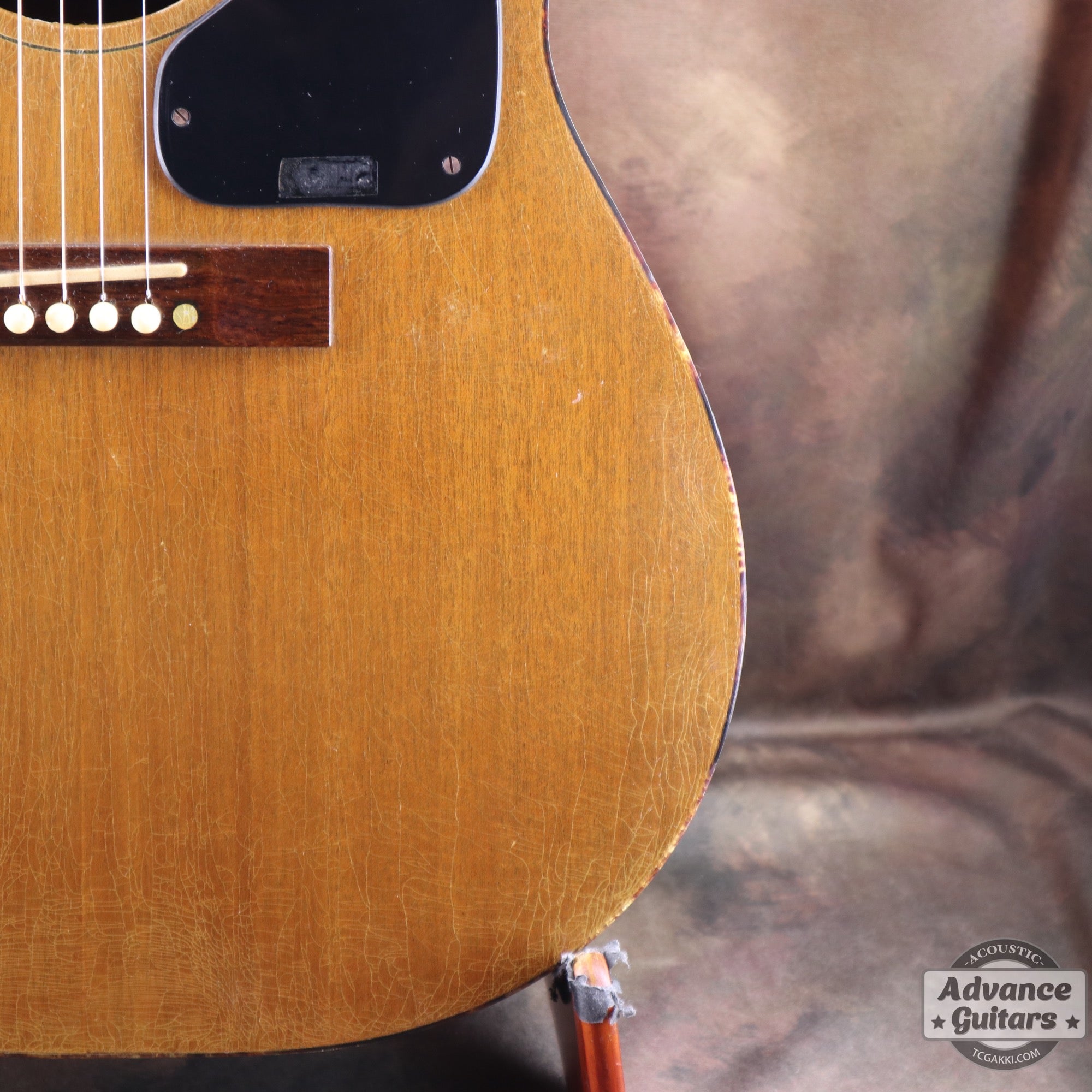 Gibson 1965年製 TG-0　