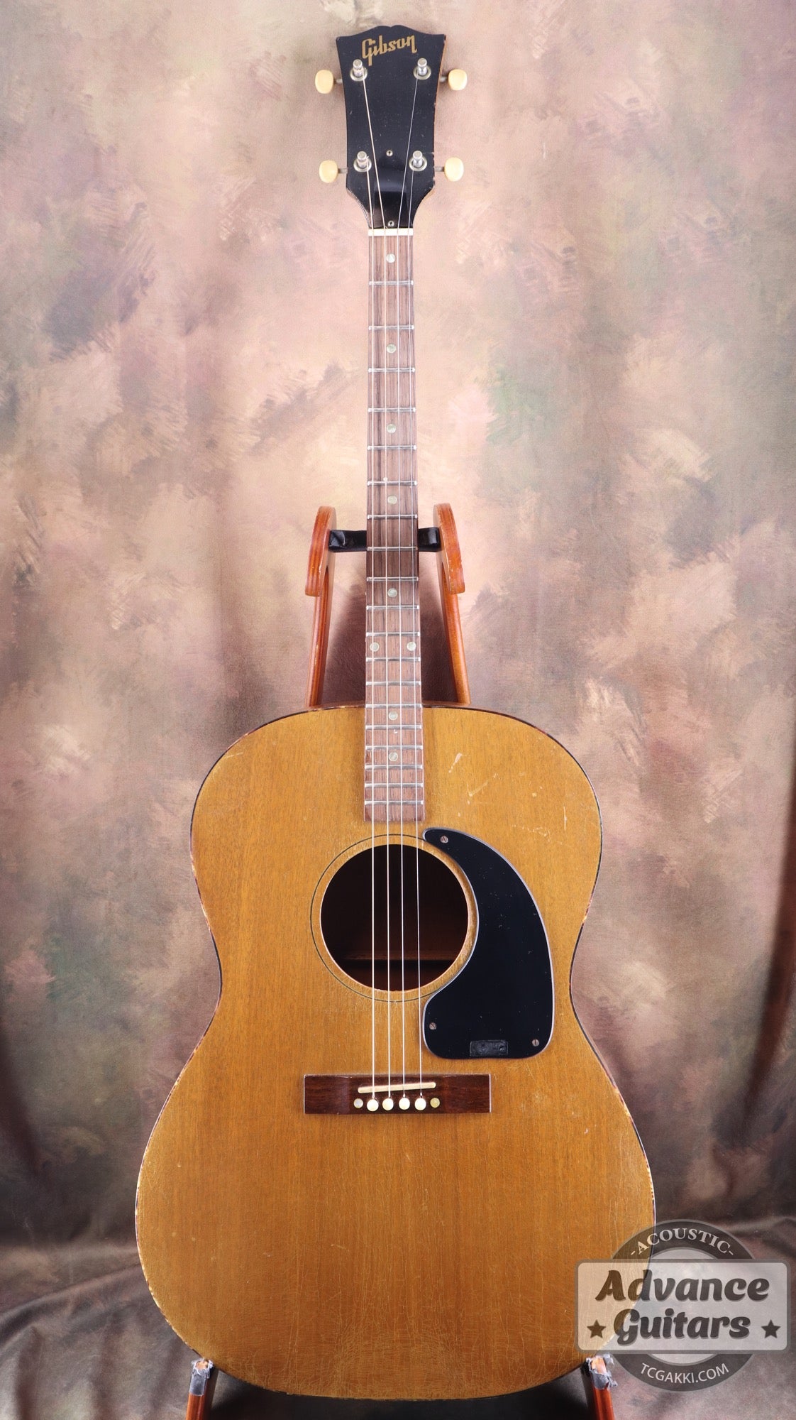 Gibson 1965年製 TG-0　