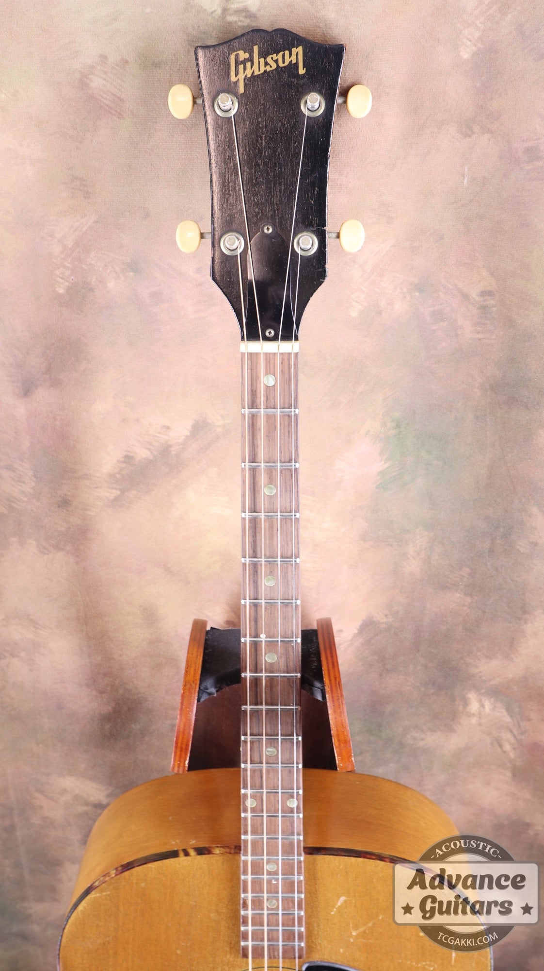 Gibson 1965年製 TG-0　