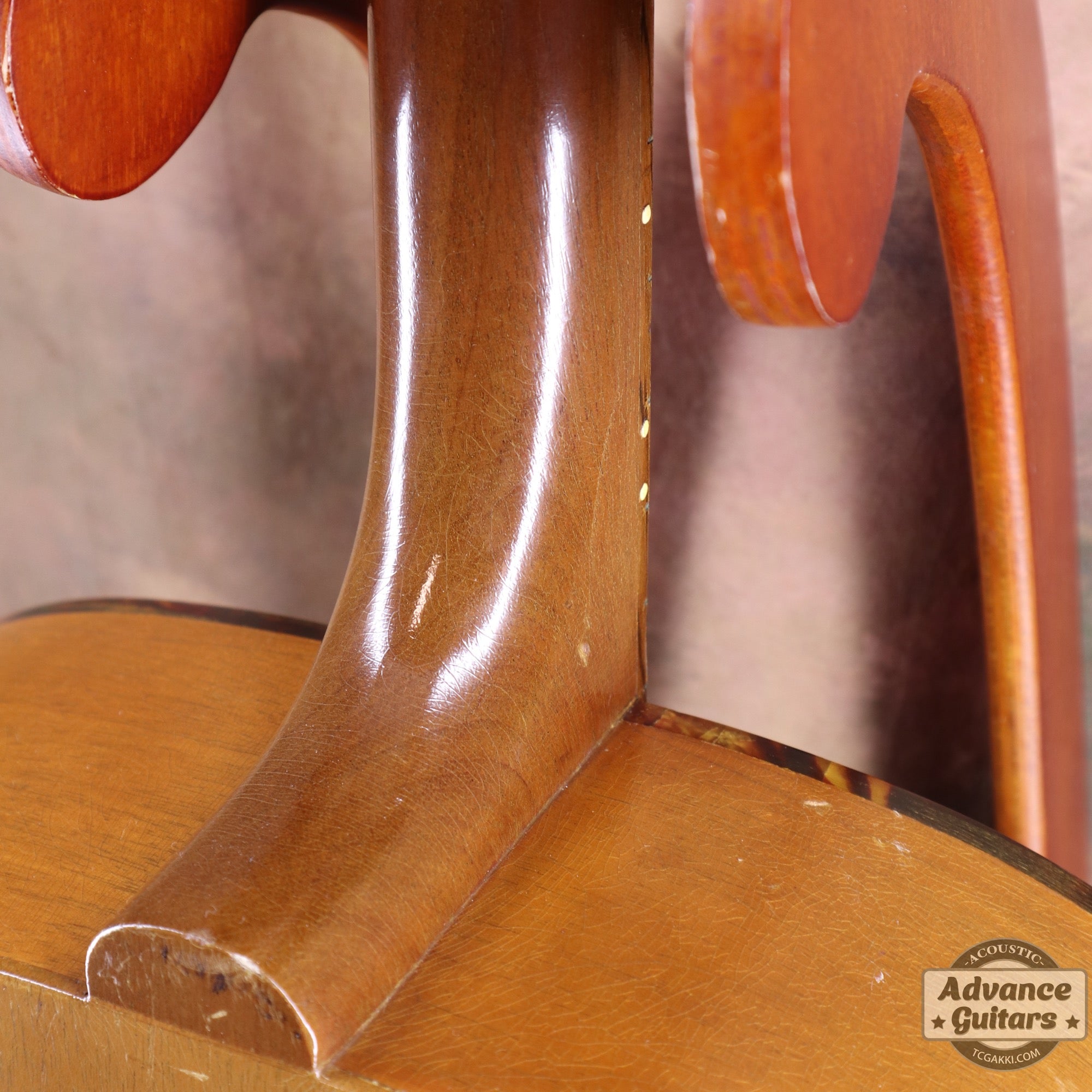Gibson 1965年製 TG-0　