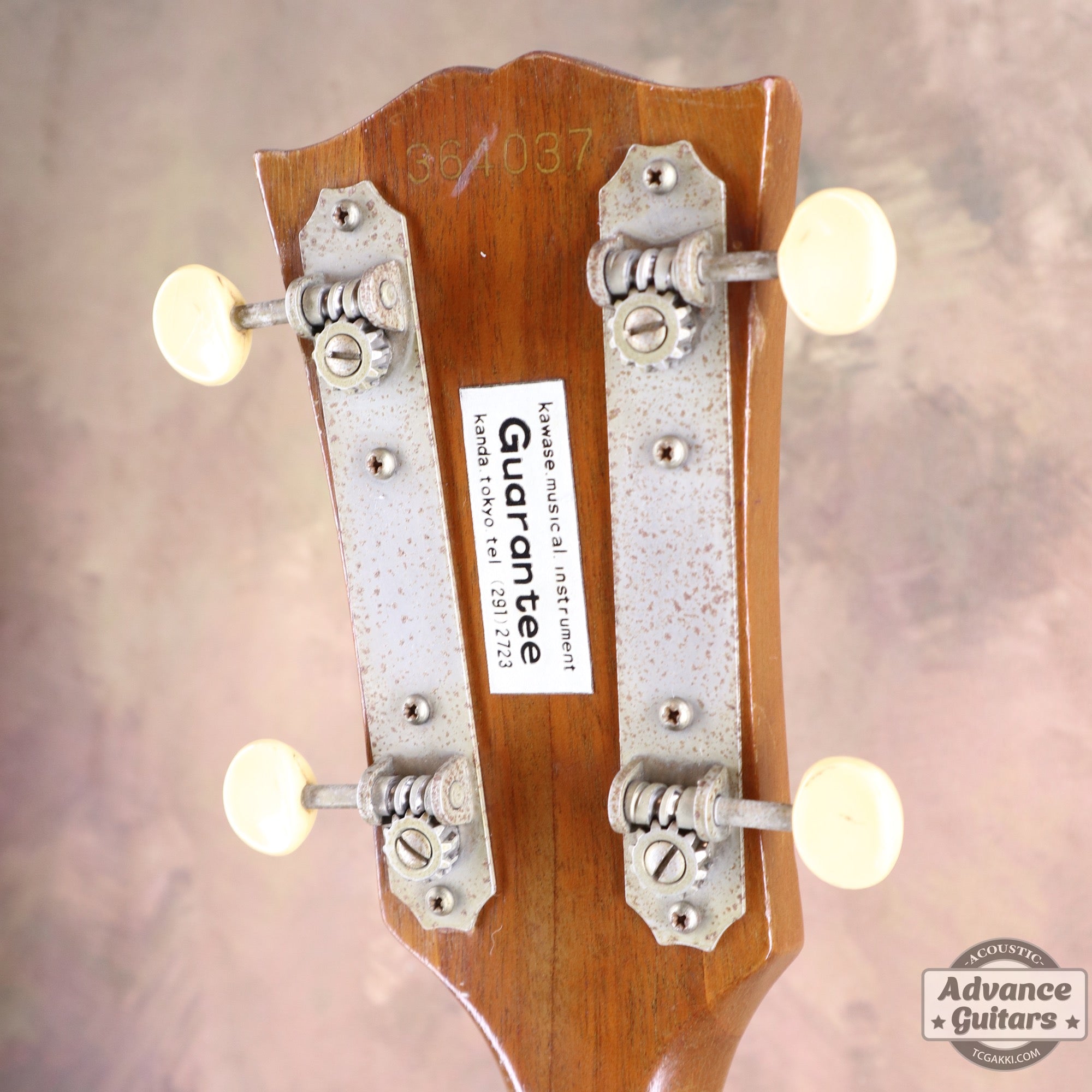 Gibson 1965年製 TG-0　