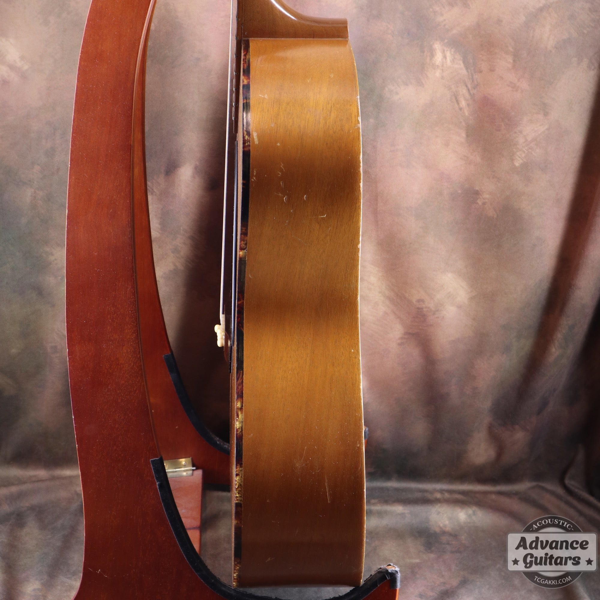 Gibson 1965年製 TG-0　