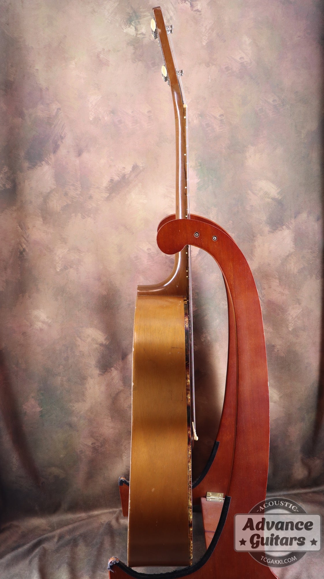 Gibson 1965年製 TG-0　