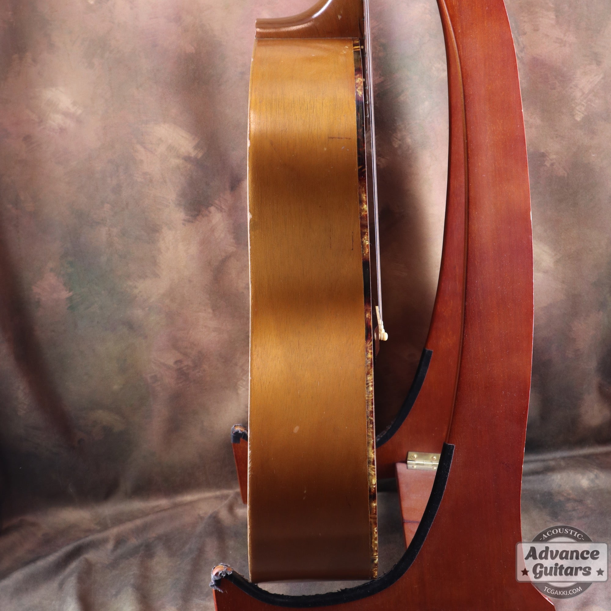Gibson 1965年製 TG-0　