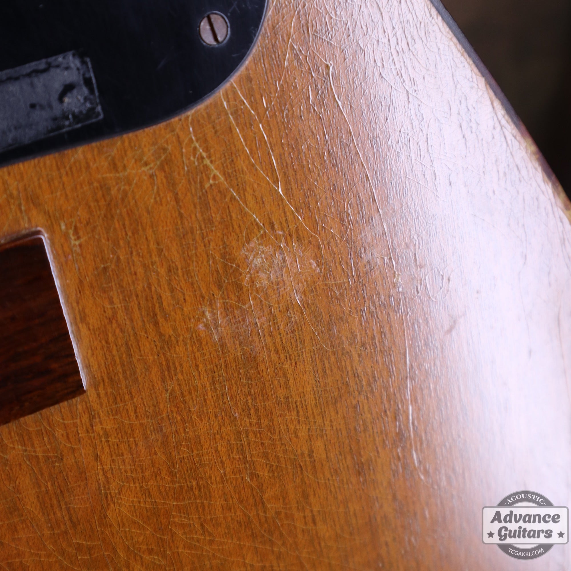 Gibson 1965年製 TG-0　