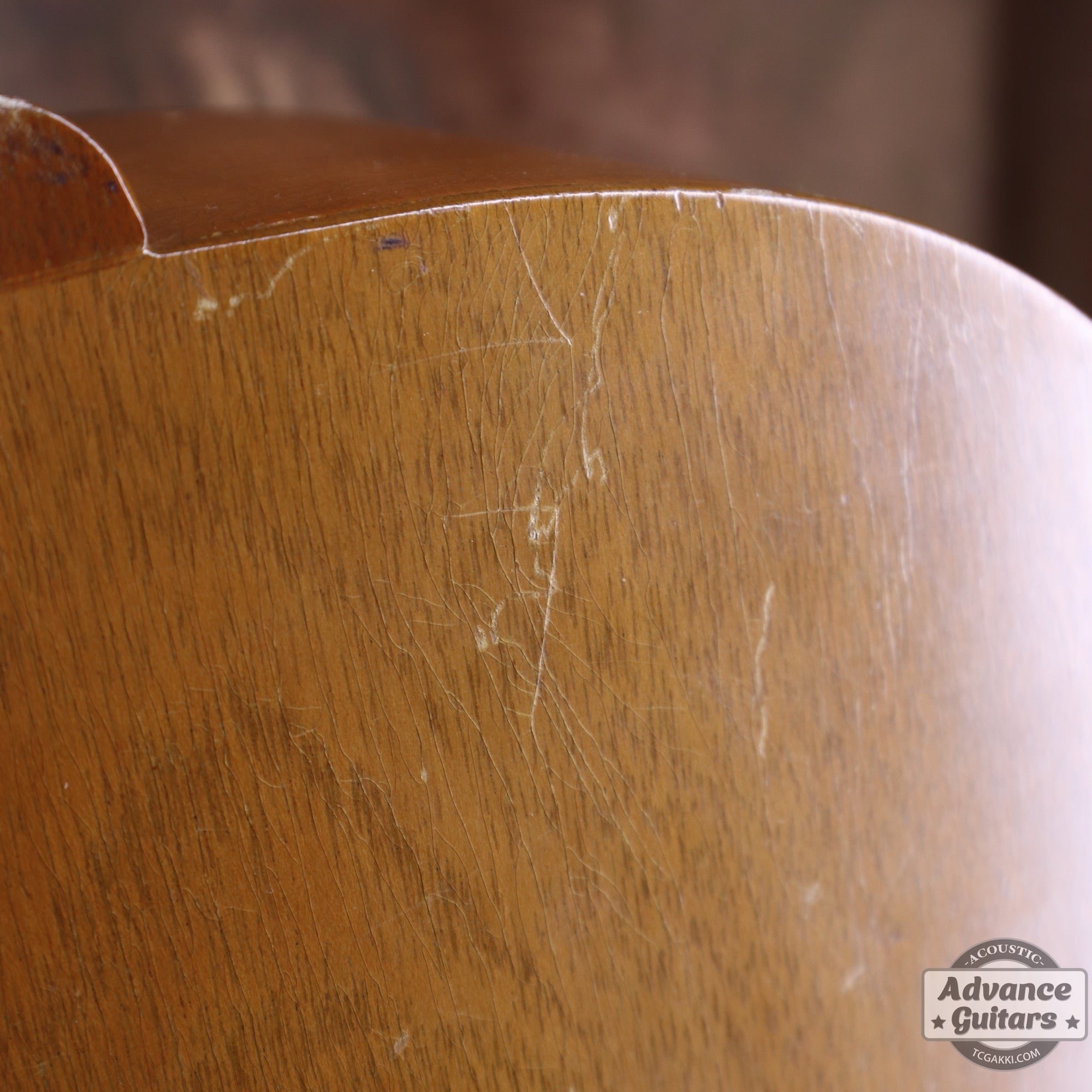 Gibson 1965年製 TG-0　