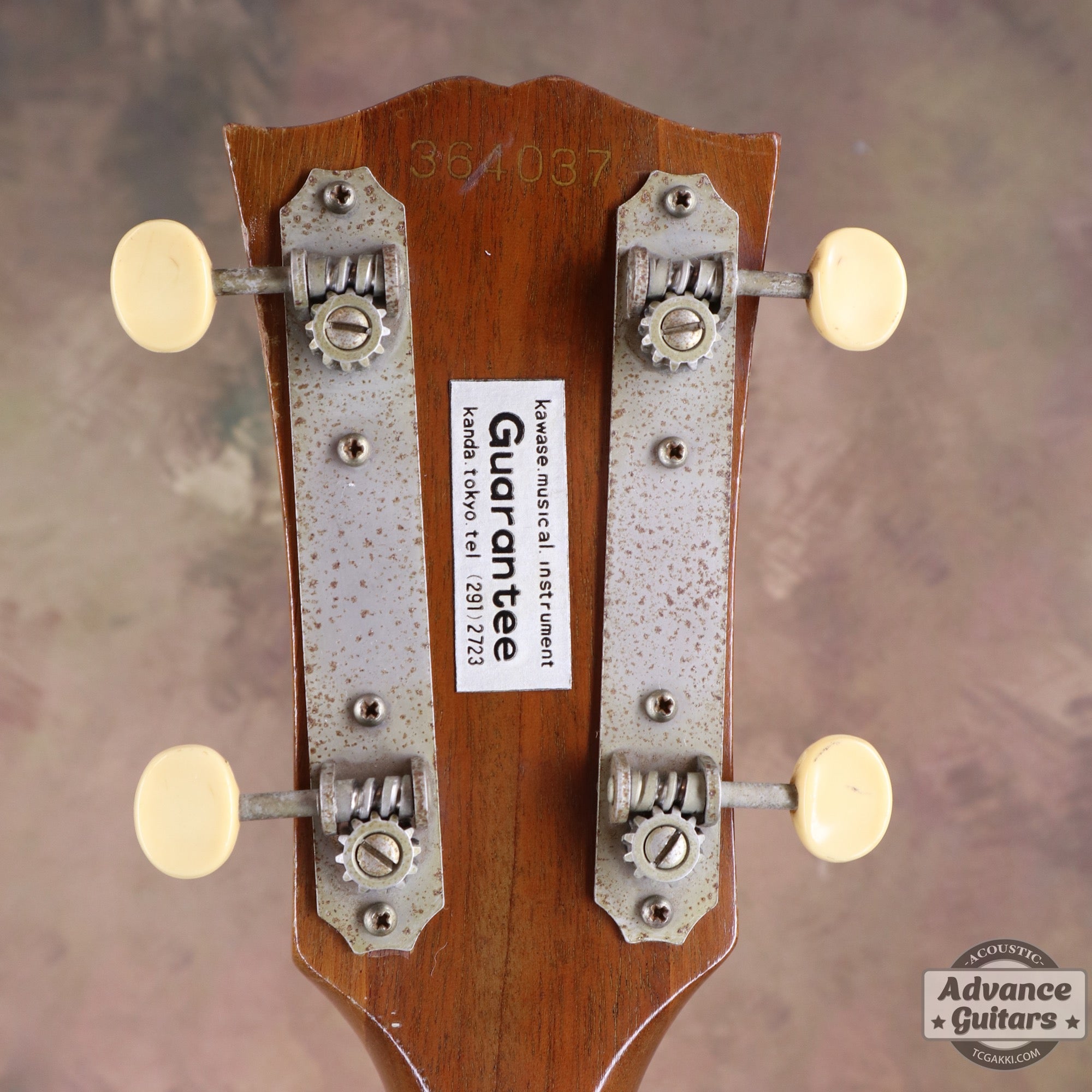 Gibson 1965年製 TG-0　