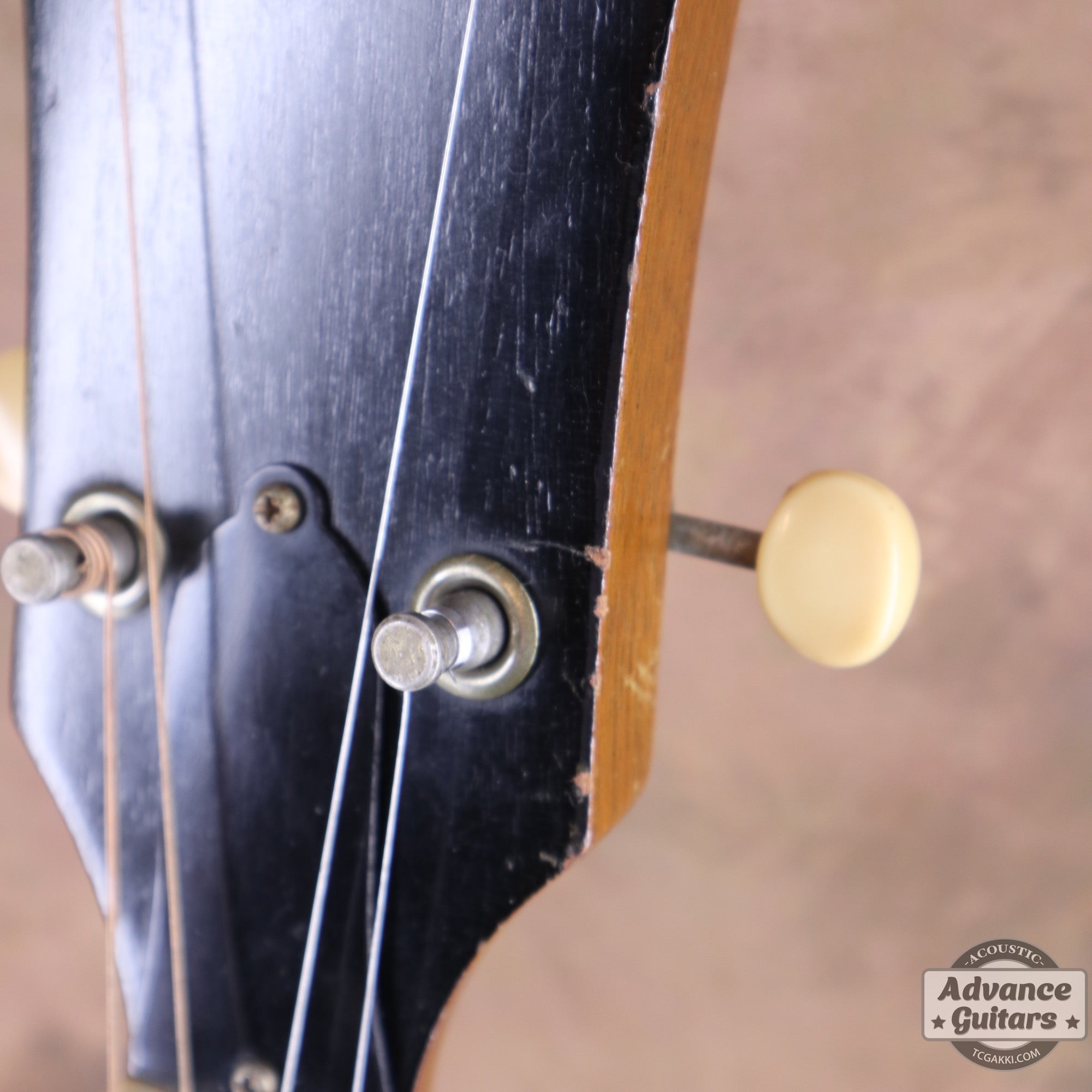 Gibson 1965年製 TG-0　