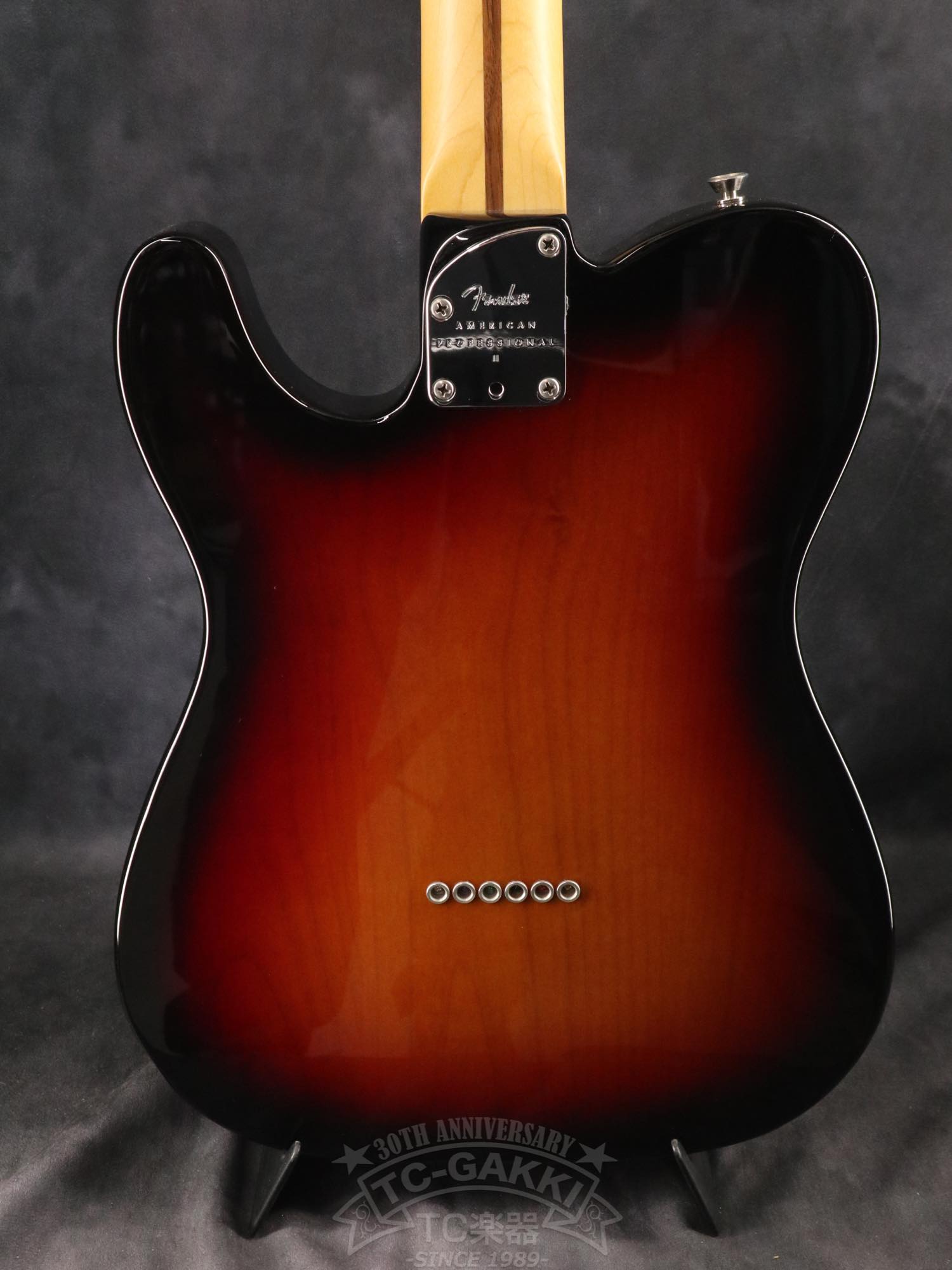 Fender USA American Professional II Telecaster