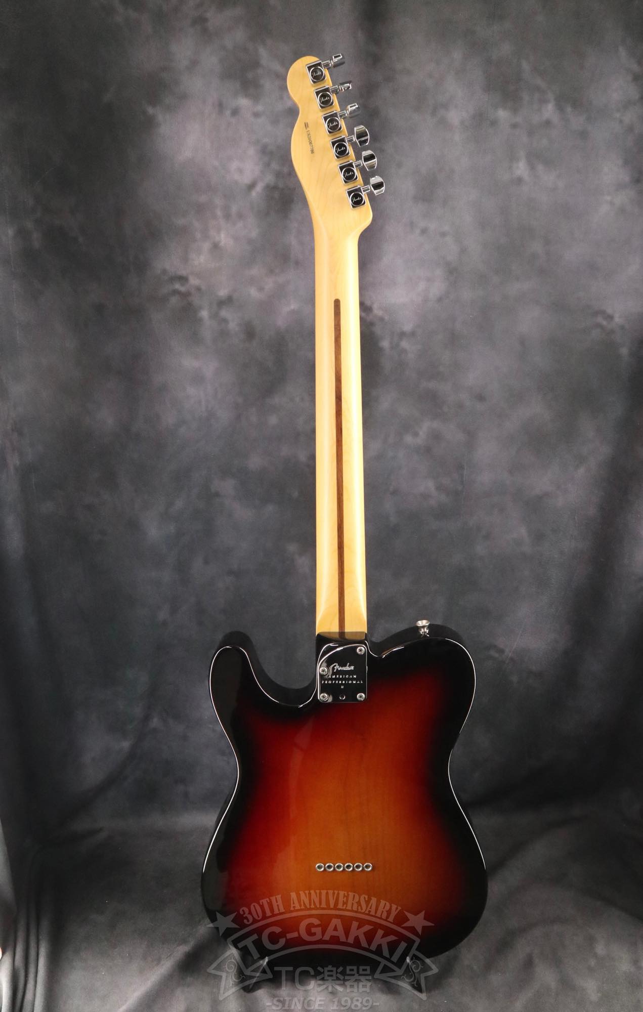 Fender USA American Professional II Telecaster
