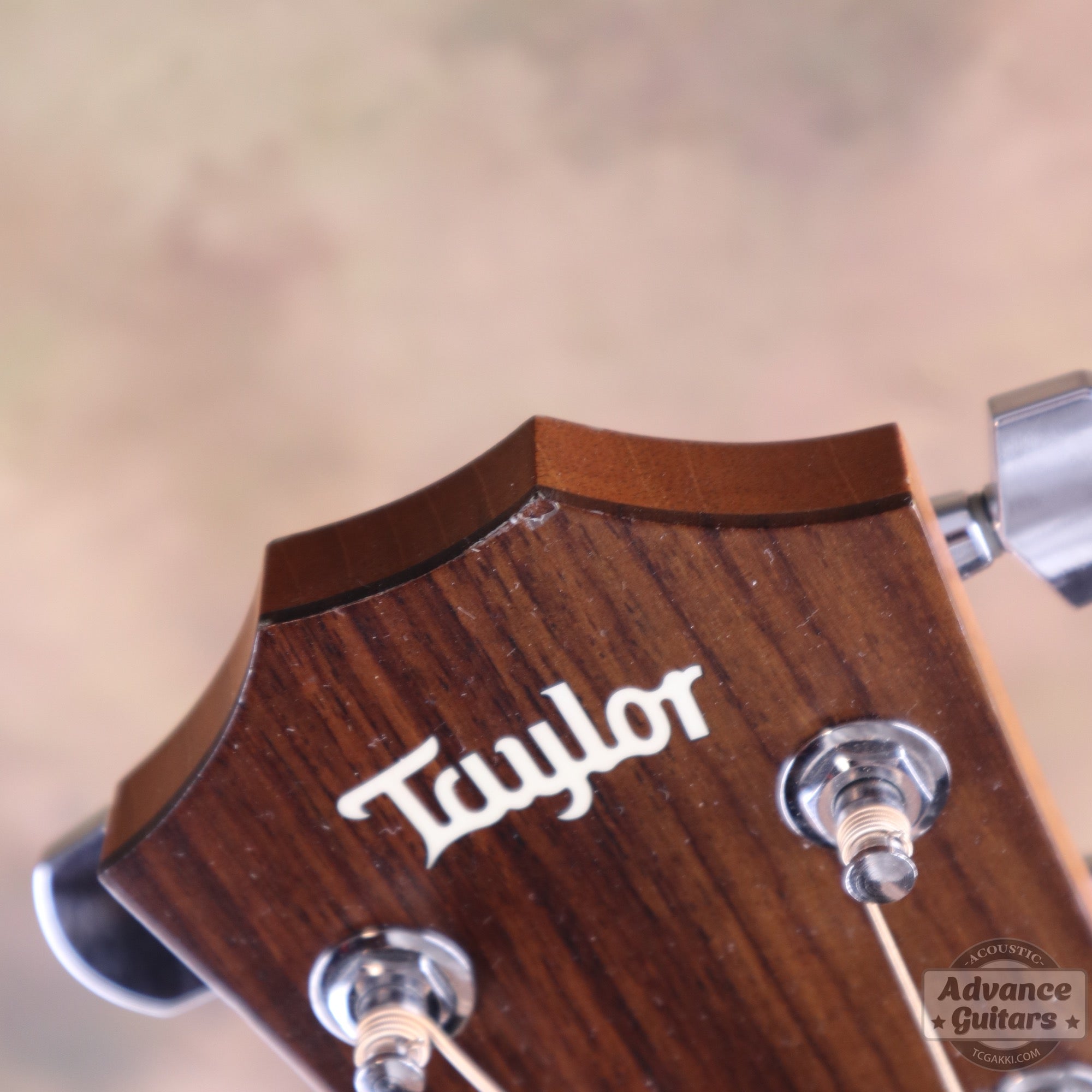 Taylor 2008年製 314ce