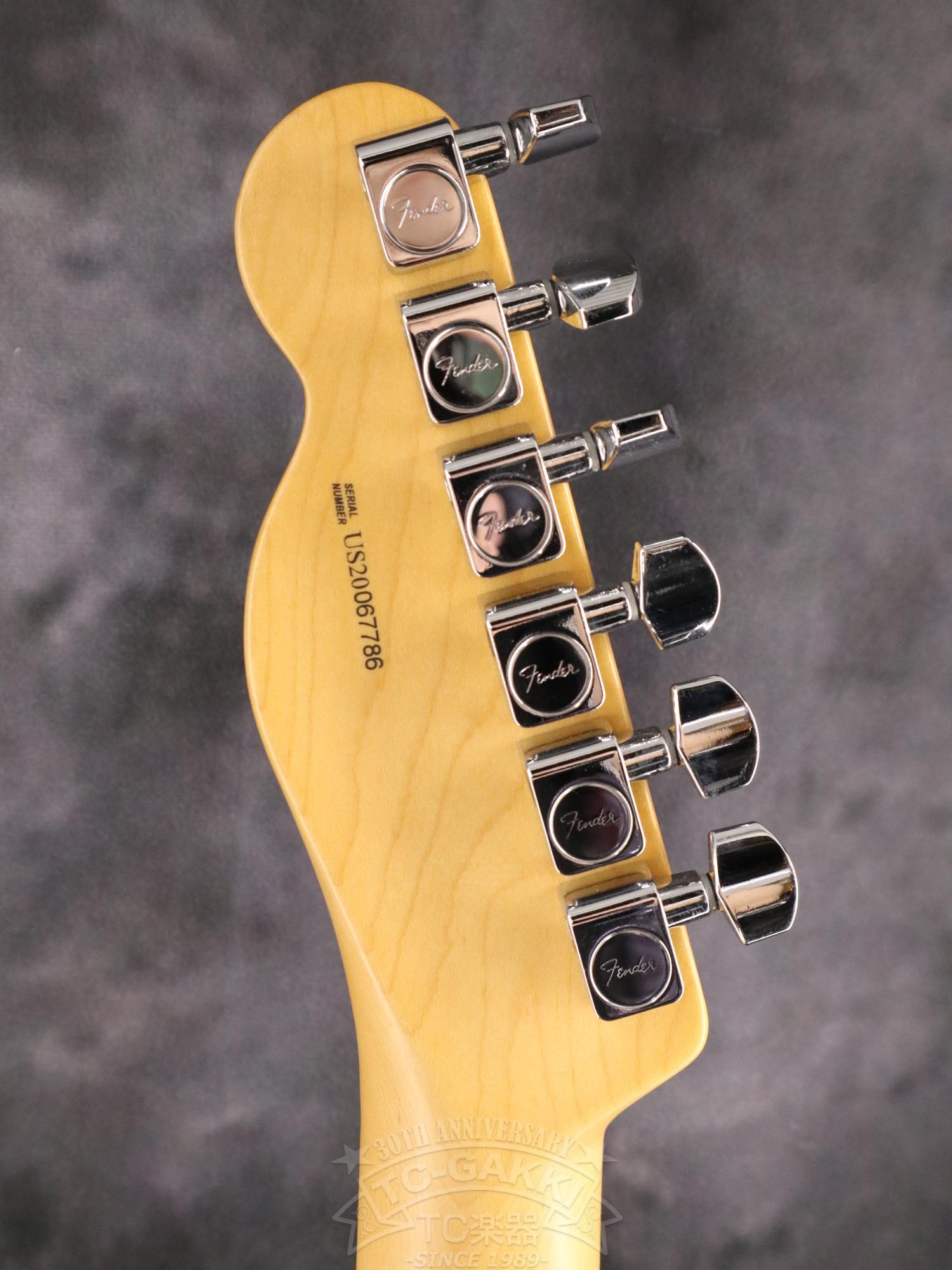 Fender USA American Professional II Telecaster