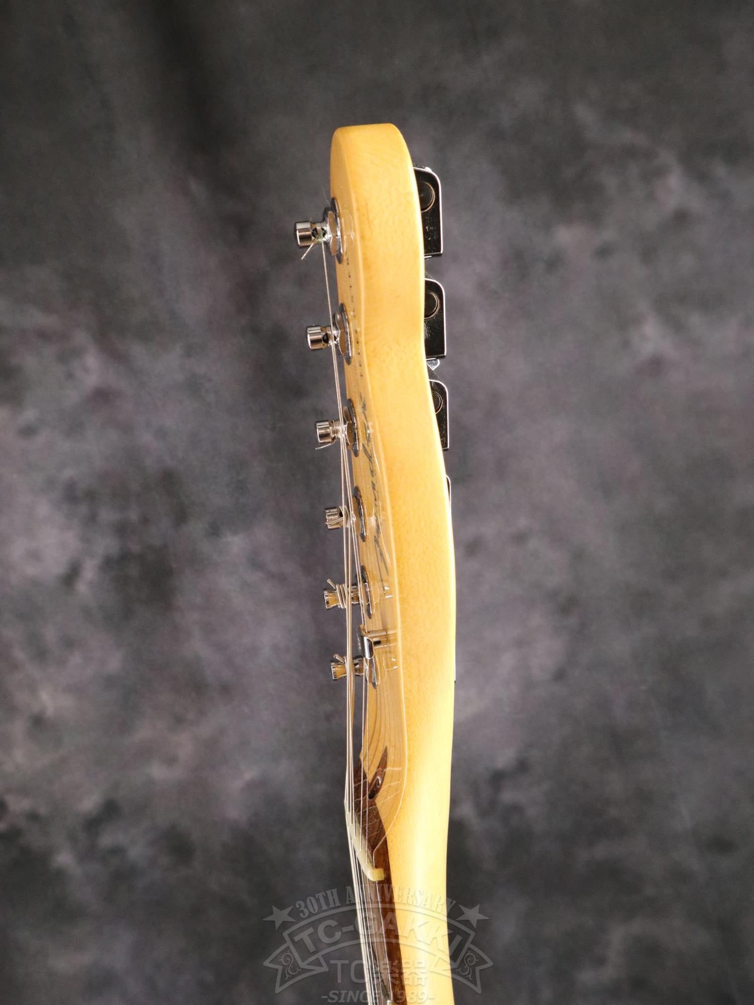 Fender USA American Professional II Telecaster