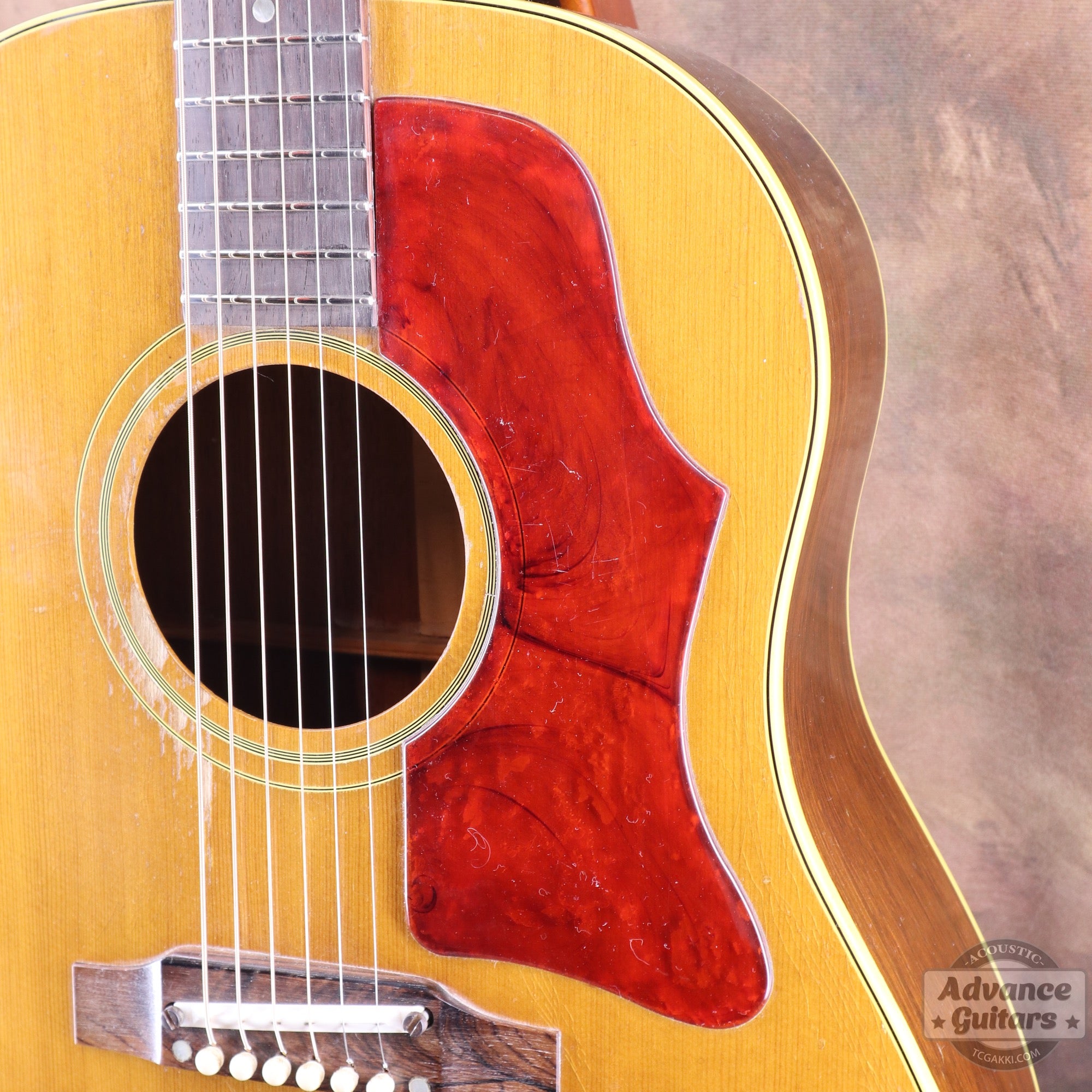 Gibson 1964年製 J-50