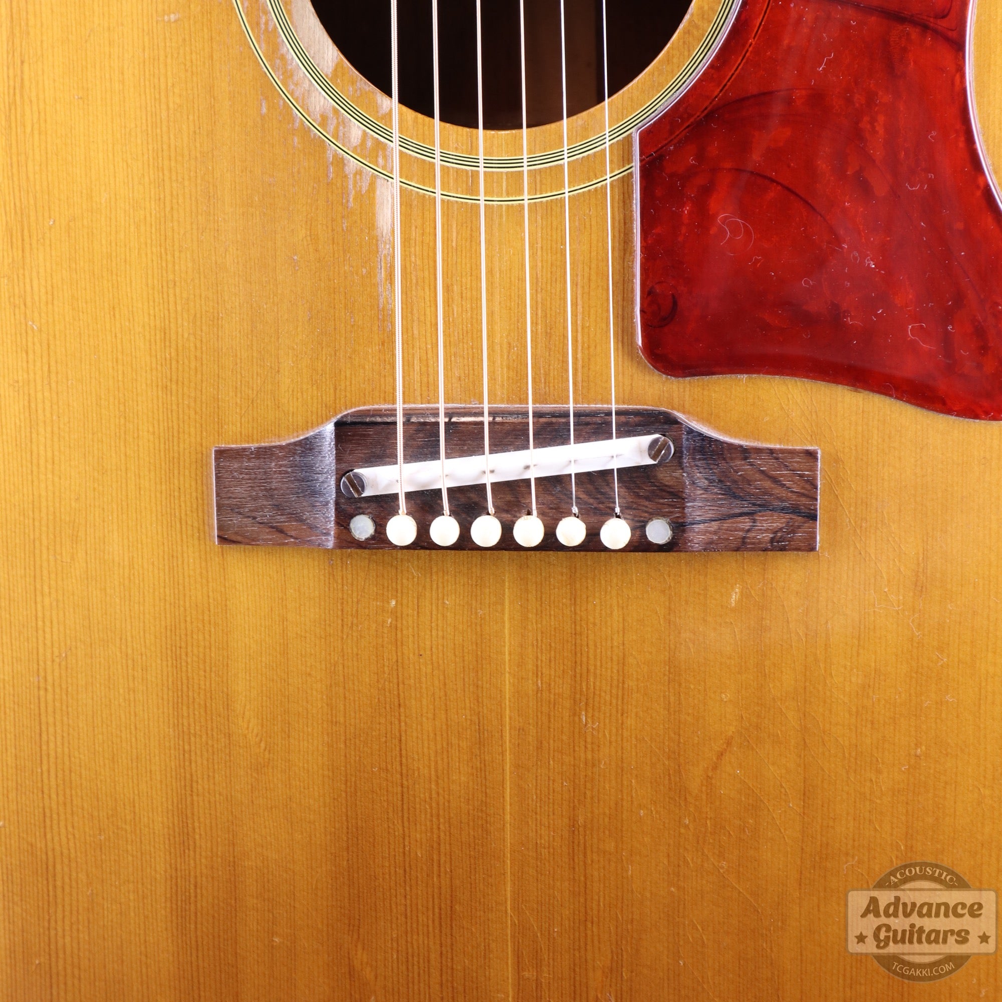 Gibson 1964年製 J-50