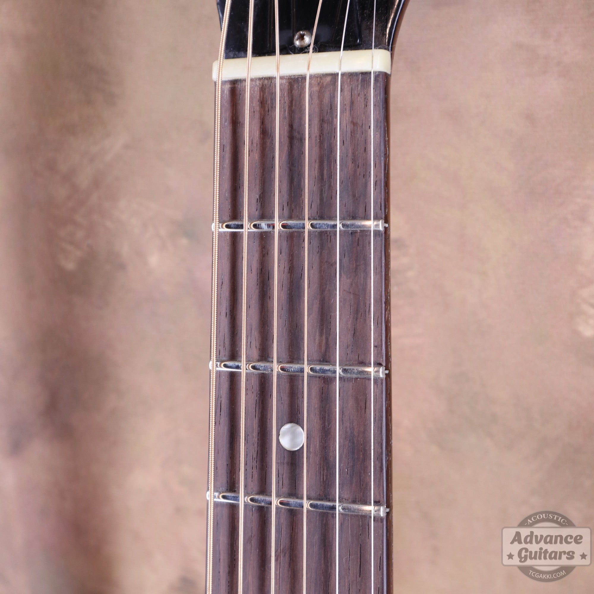 Gibson 1964年製 J-50