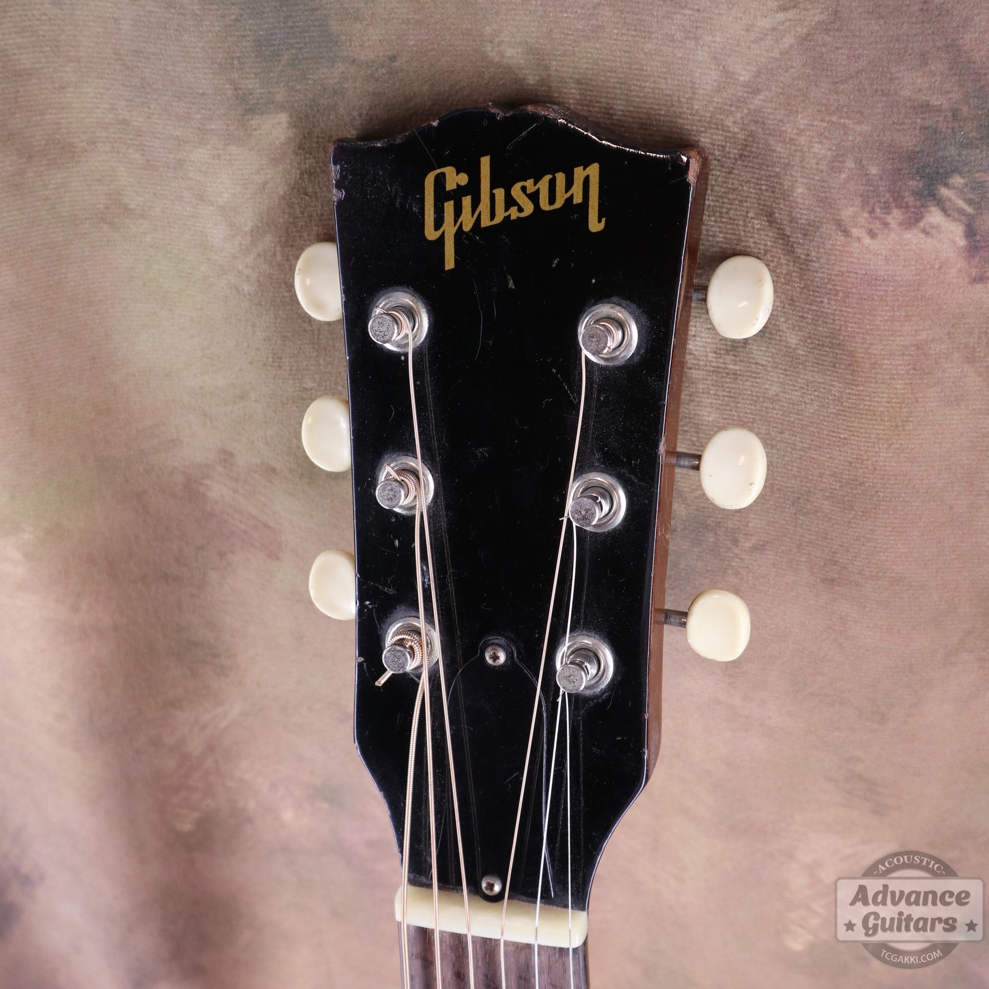 Gibson 1964年製 J-50