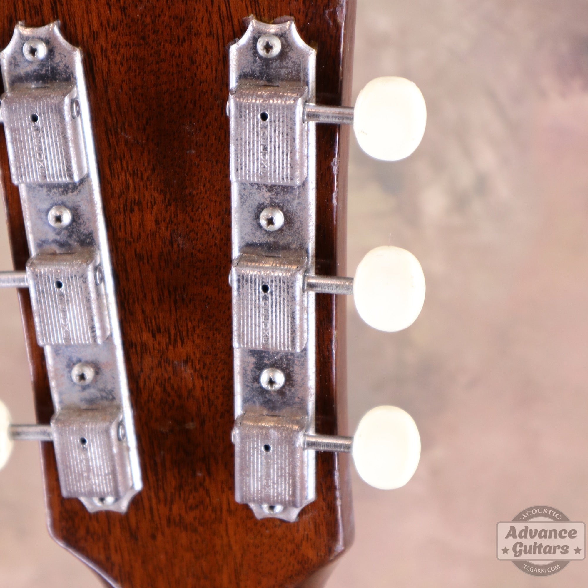 Gibson 1964年製 J-50