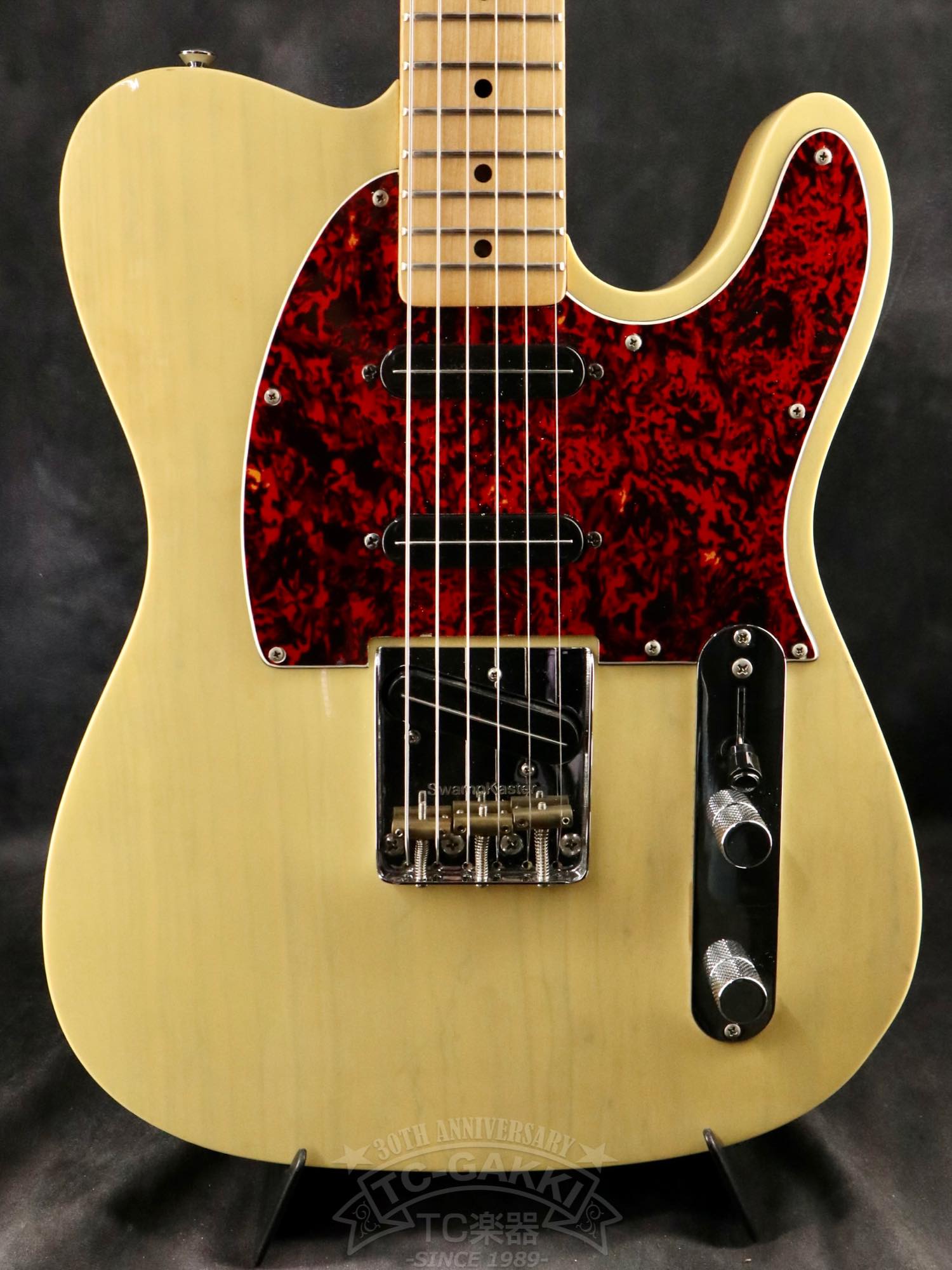 Bill Lawrence Swampkaster T