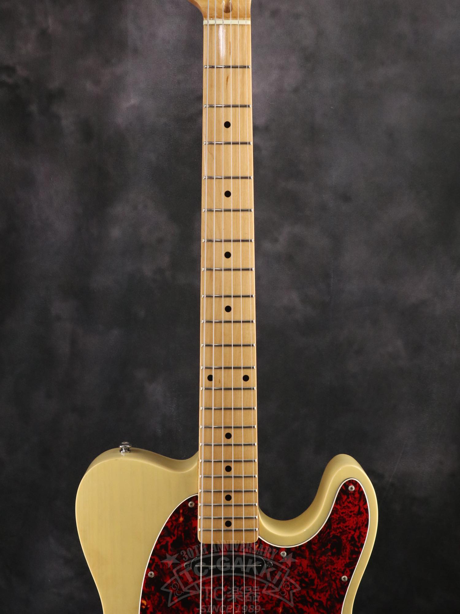 Bill Lawrence Swampkaster T