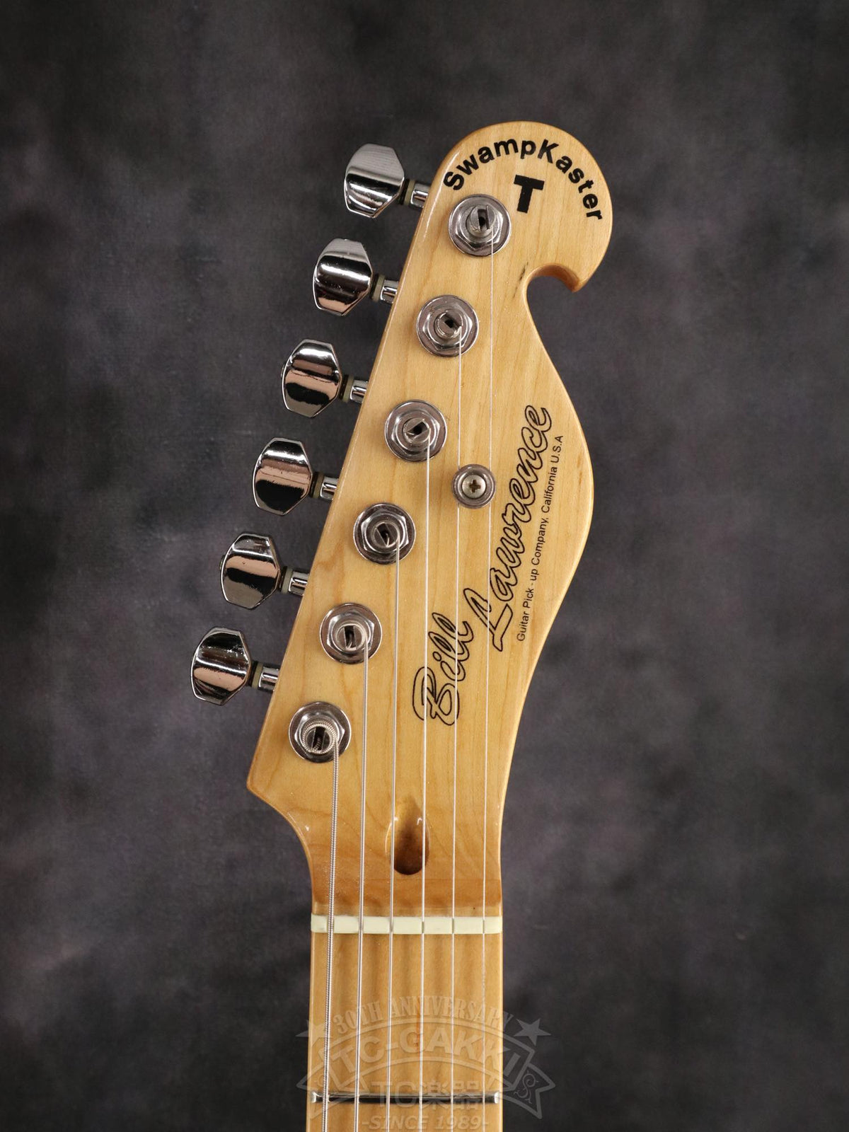 Bill Lawrence Swampkaster T