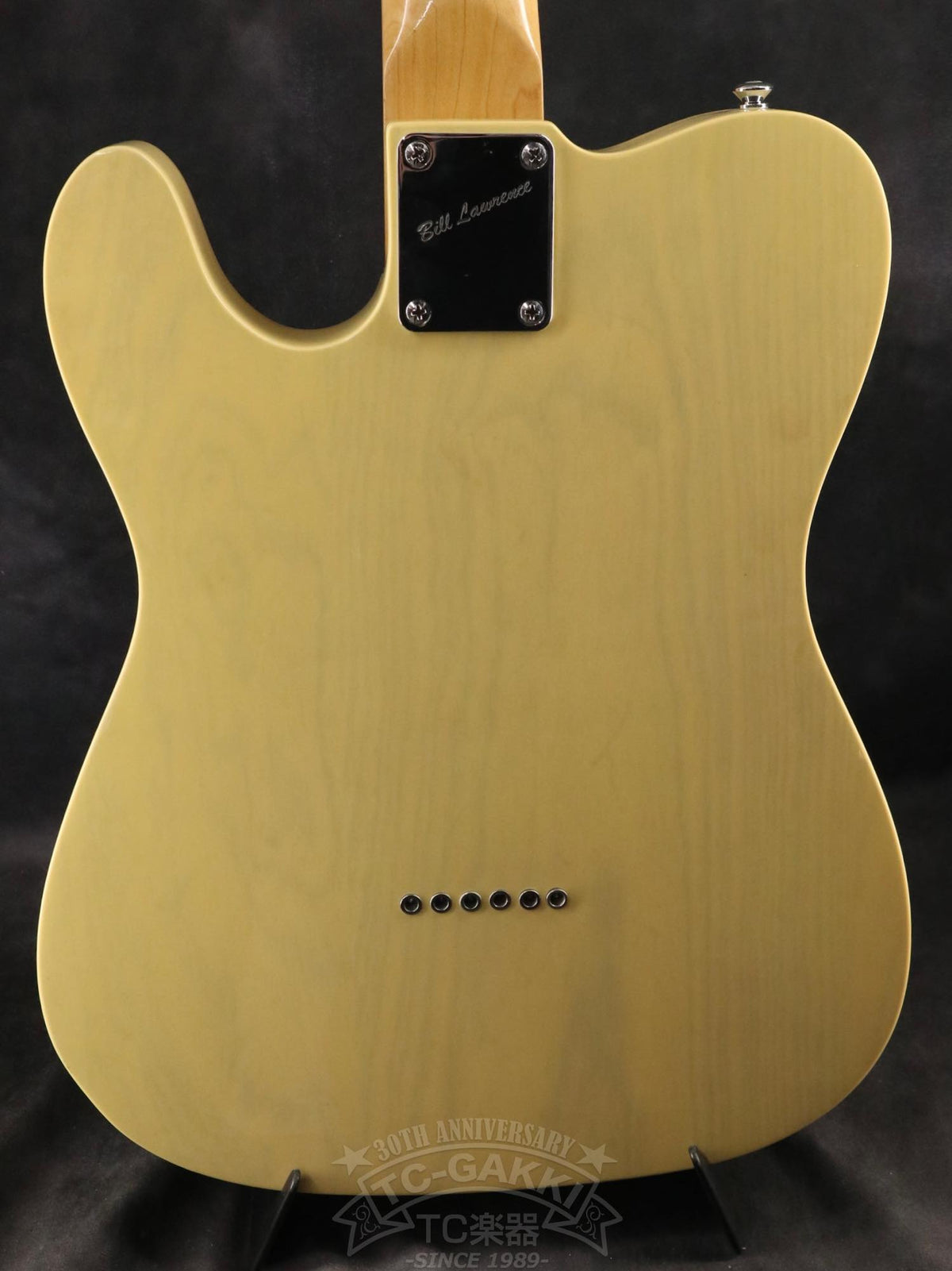 Bill Lawrence Swampkaster T