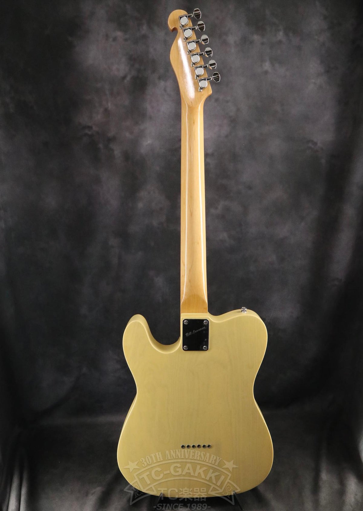 Bill Lawrence Swampkaster T