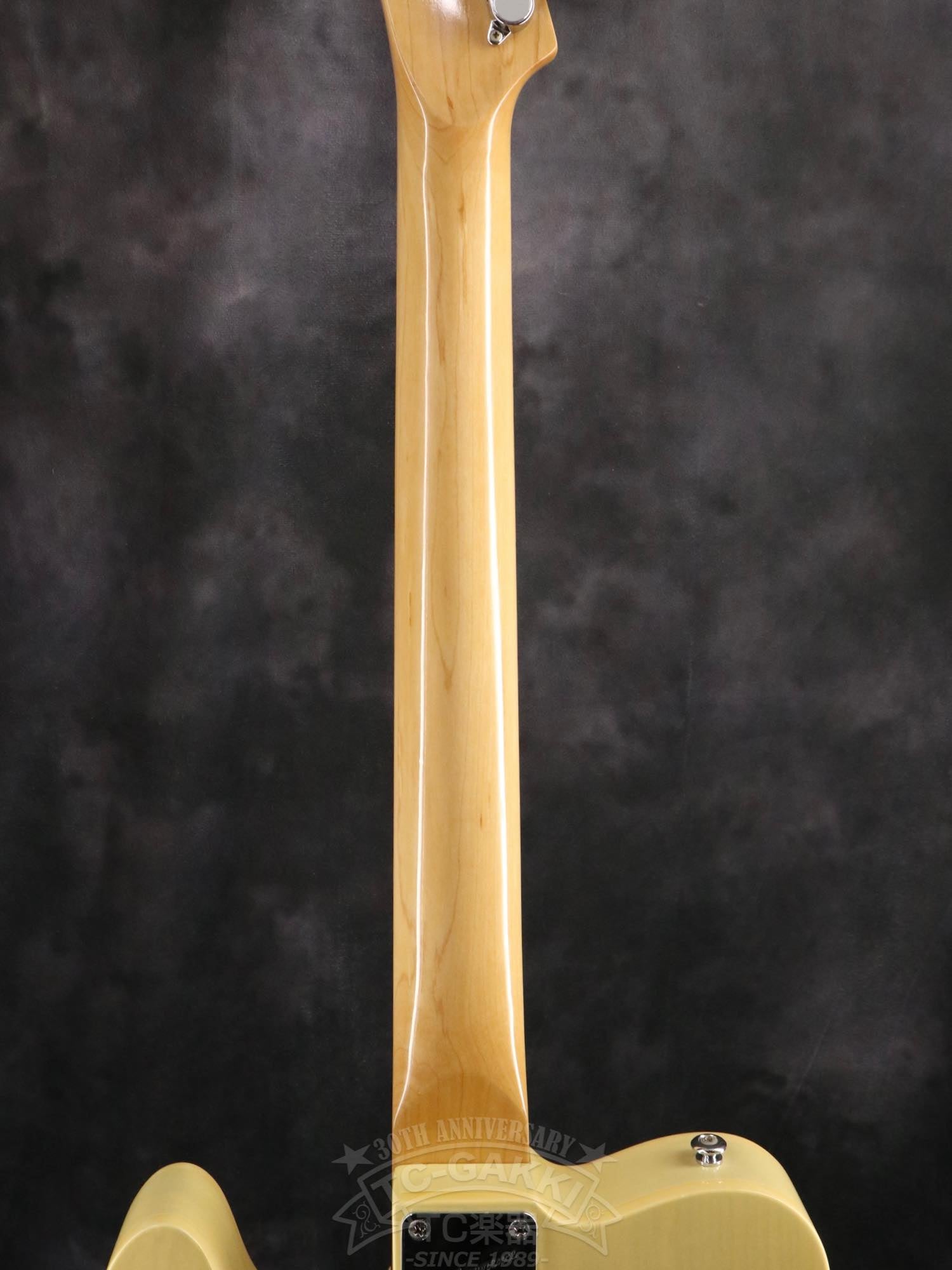 Bill Lawrence Swampkaster T