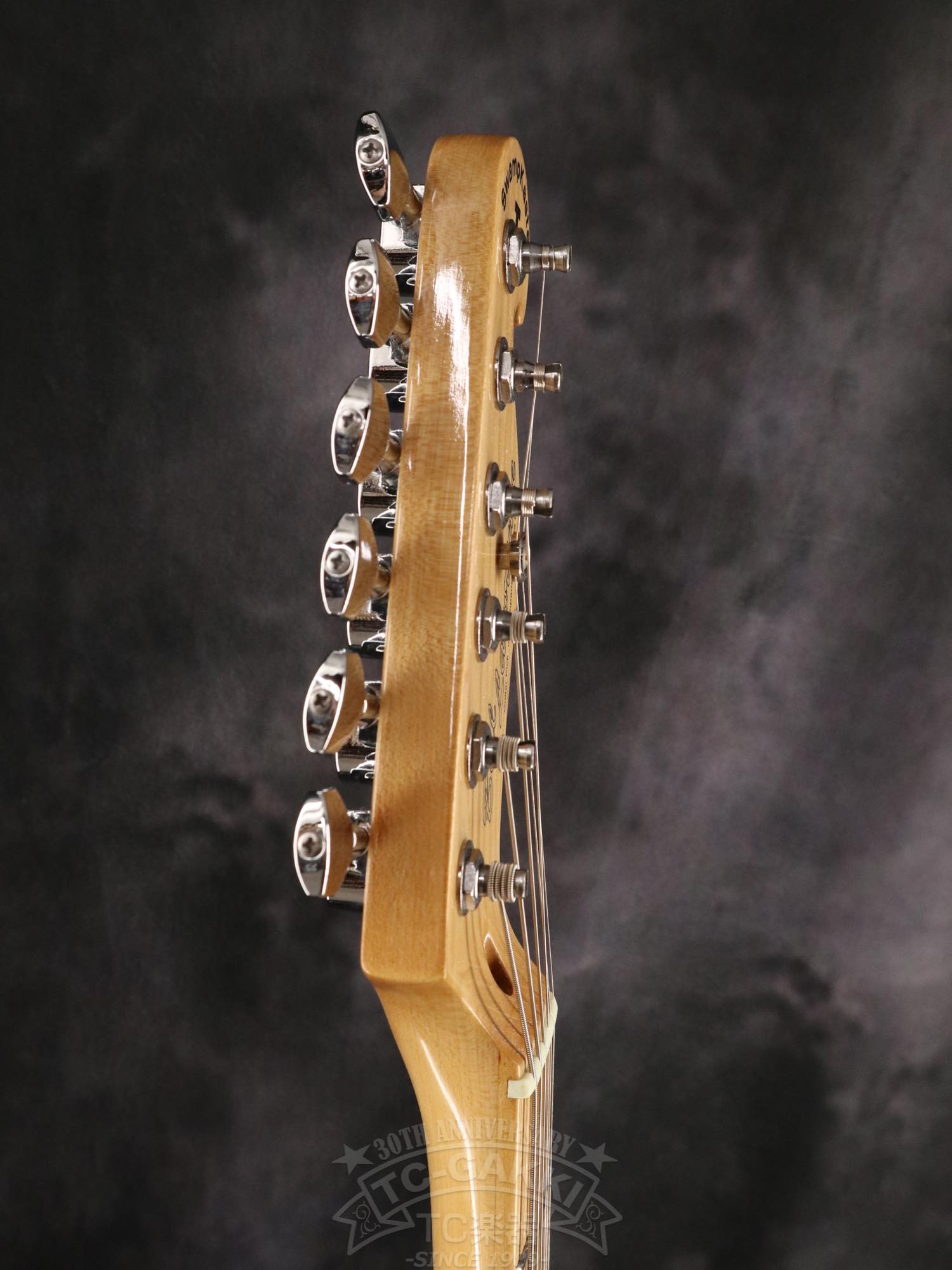 Bill Lawrence Swampkaster T