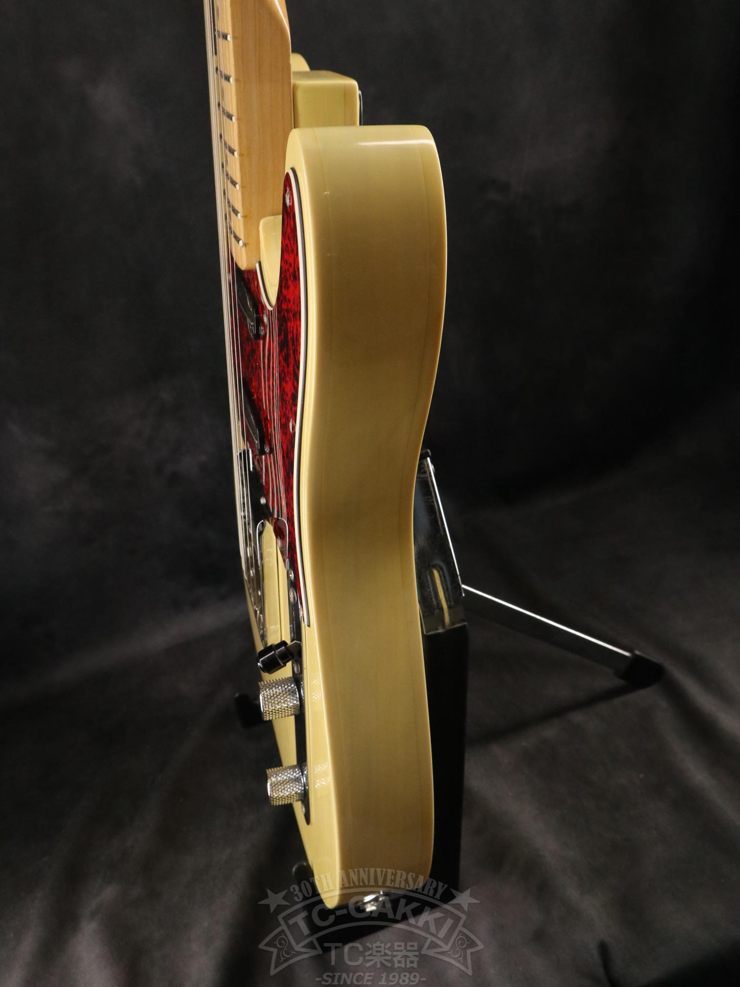 Bill Lawrence Swampkaster T