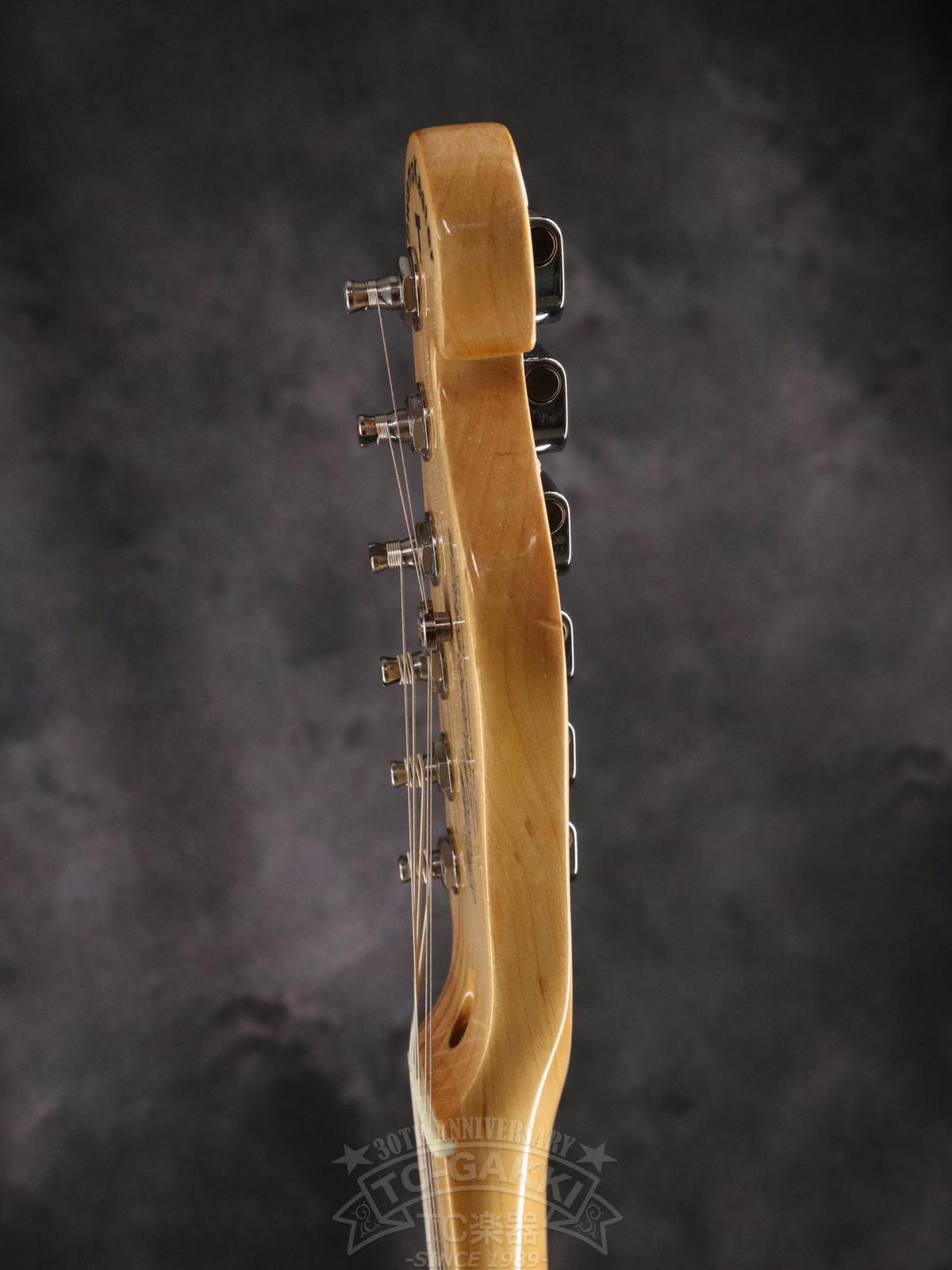 Bill Lawrence Swampkaster T