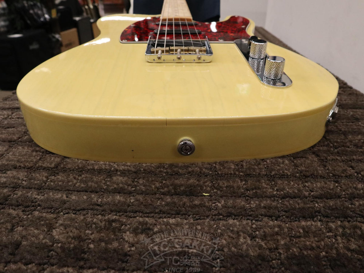 Bill Lawrence Swampkaster T
