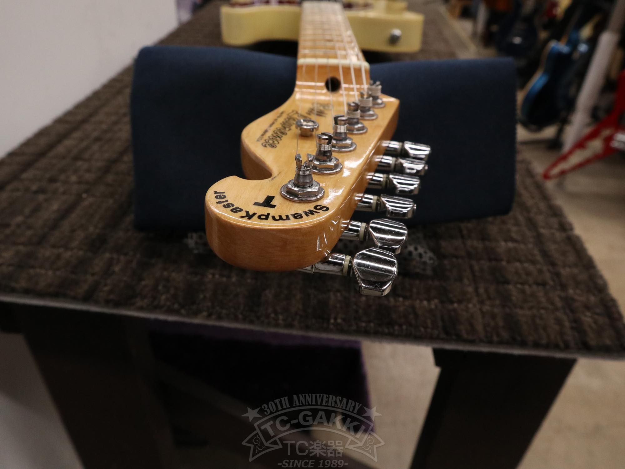Bill Lawrence Swampkaster T