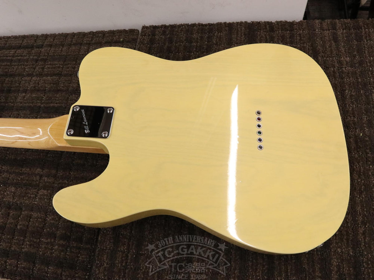 Bill Lawrence Swampkaster T