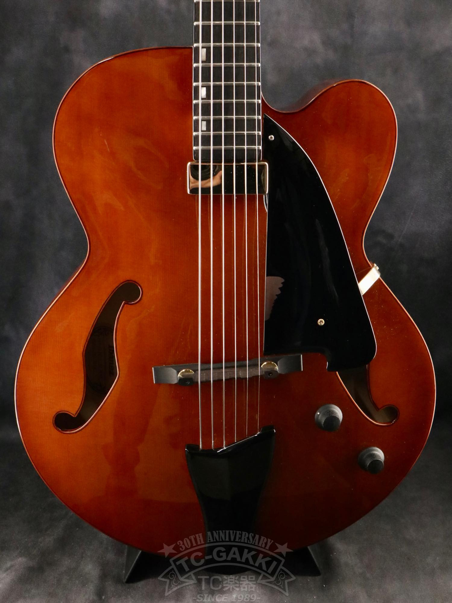 Ibanez AFC151