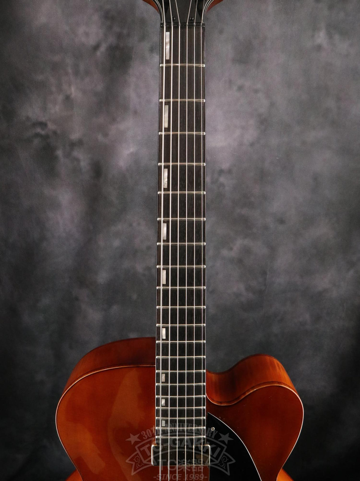 Ibanez AFC151