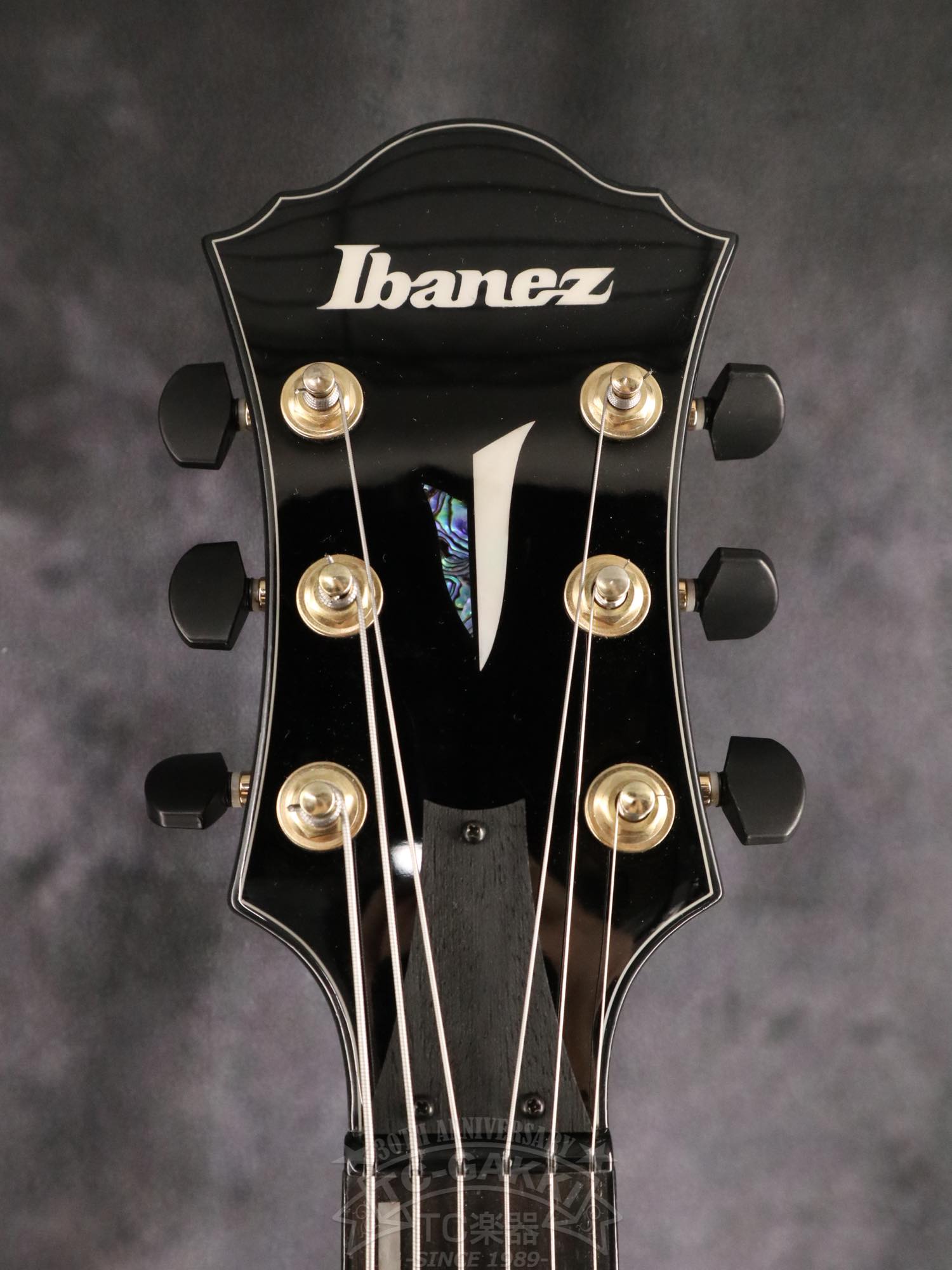 Ibanez AFC151