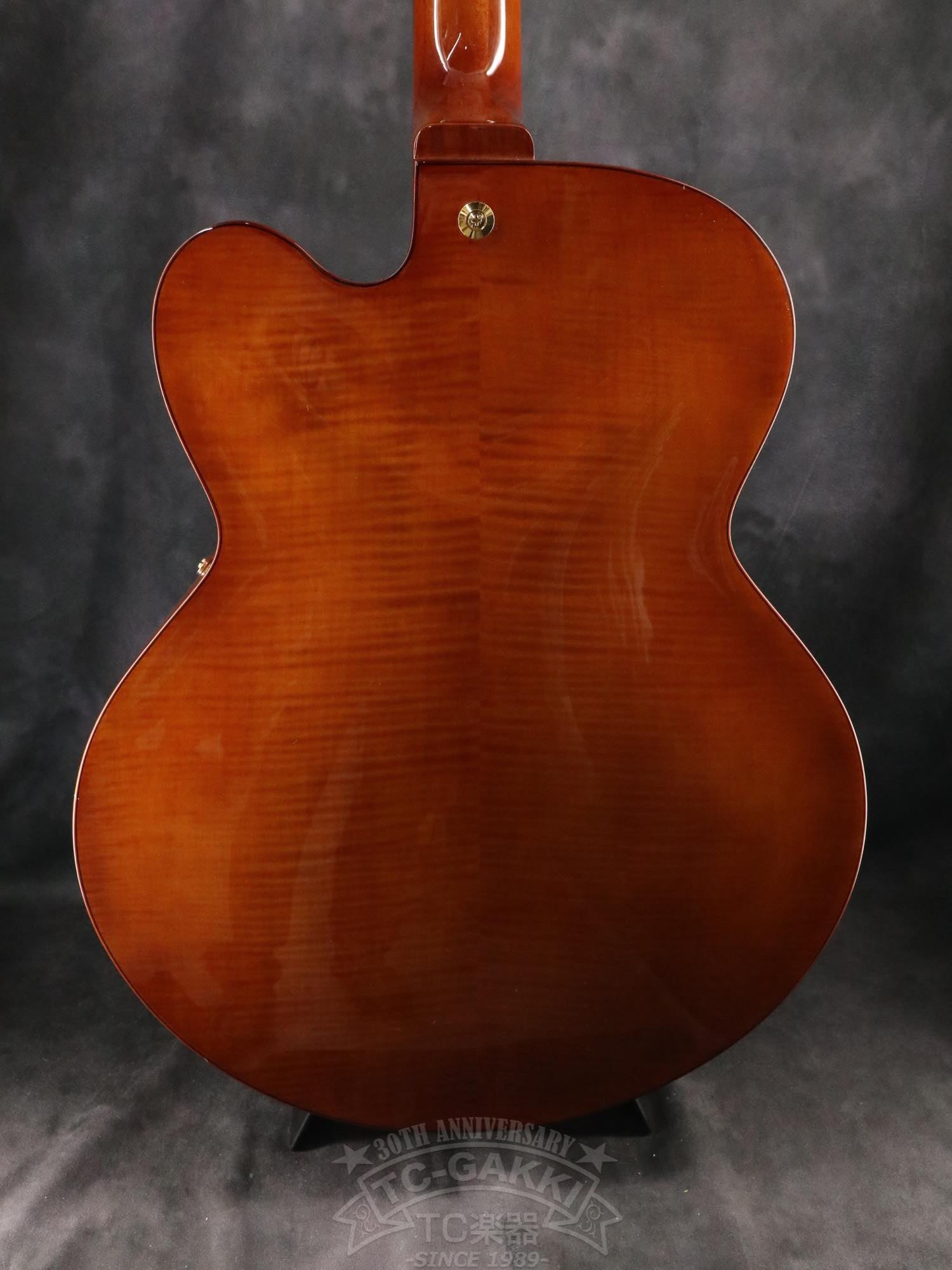 Ibanez AFC151