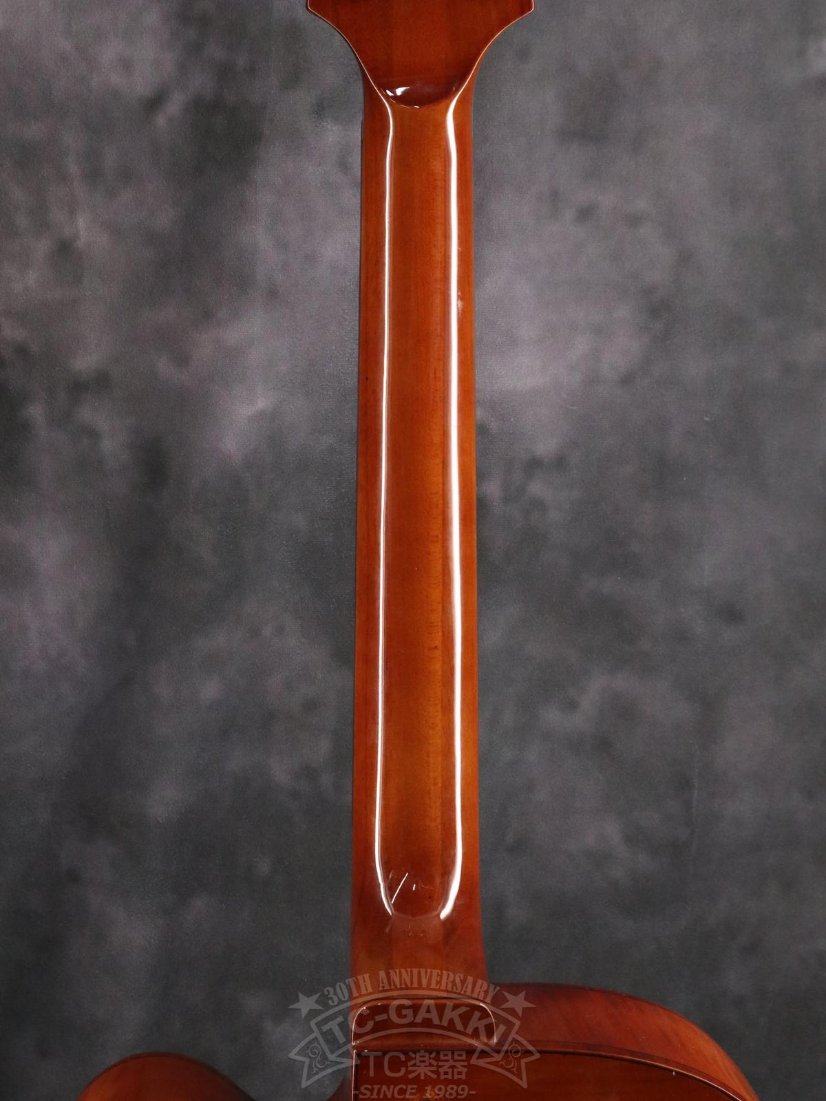 Ibanez AFC151