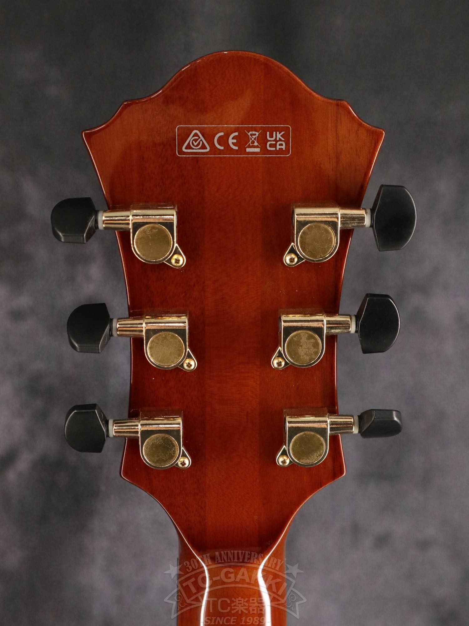 Ibanez AFC151