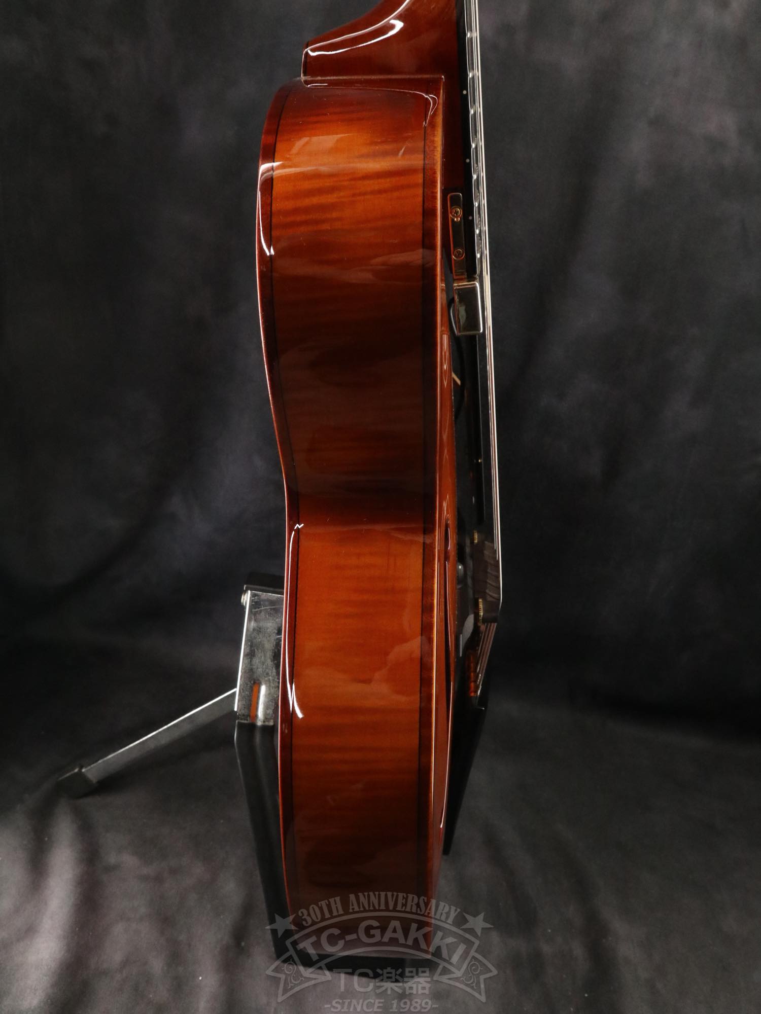 Ibanez AFC151