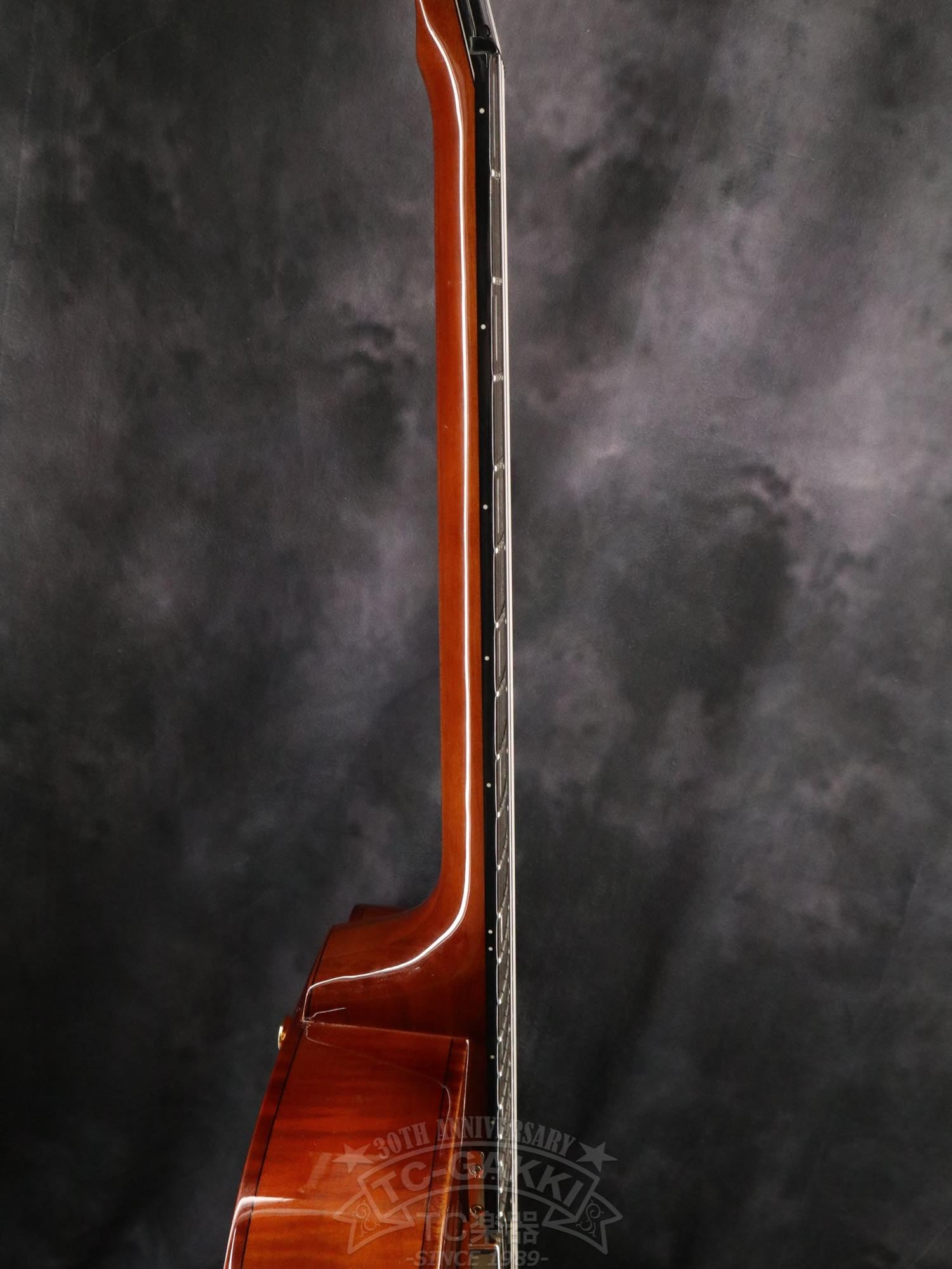 Ibanez AFC151