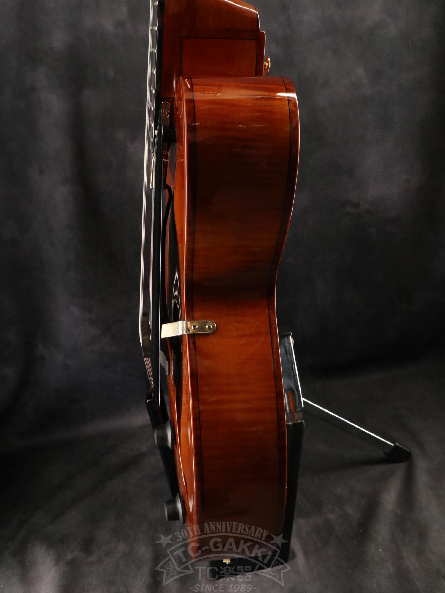 Ibanez AFC151