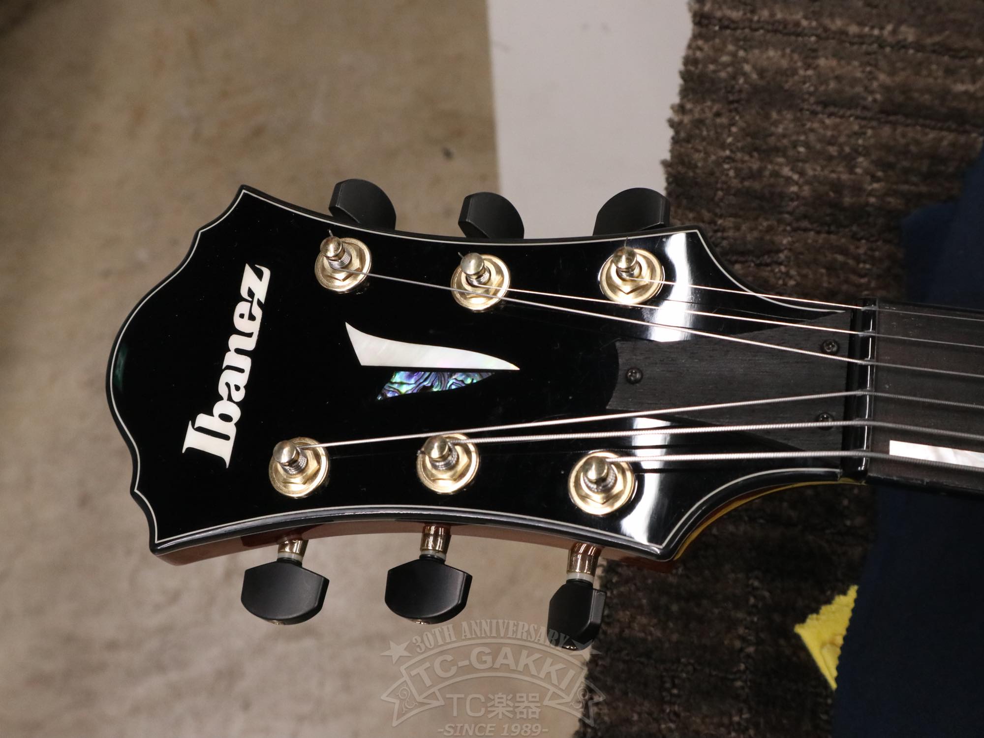 Ibanez AFC151