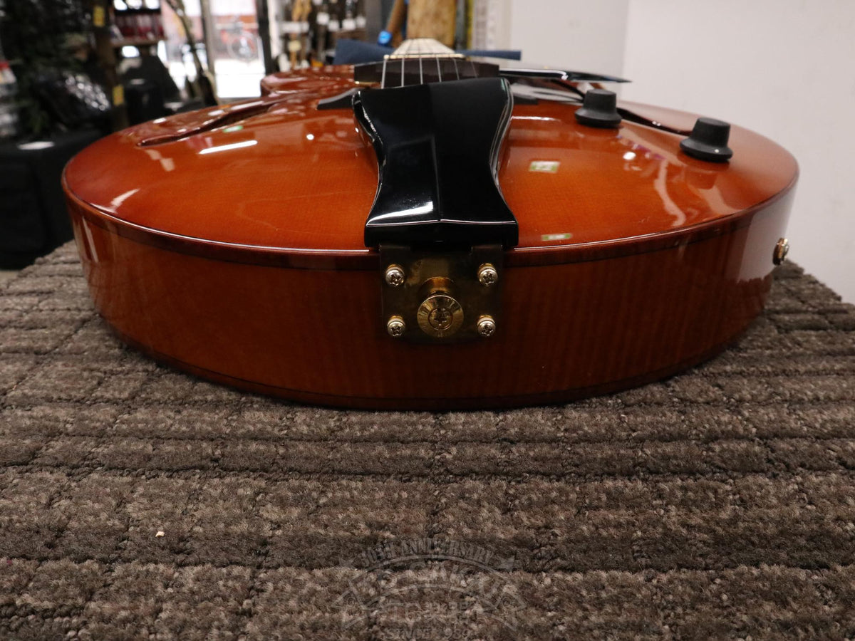 Ibanez AFC151
