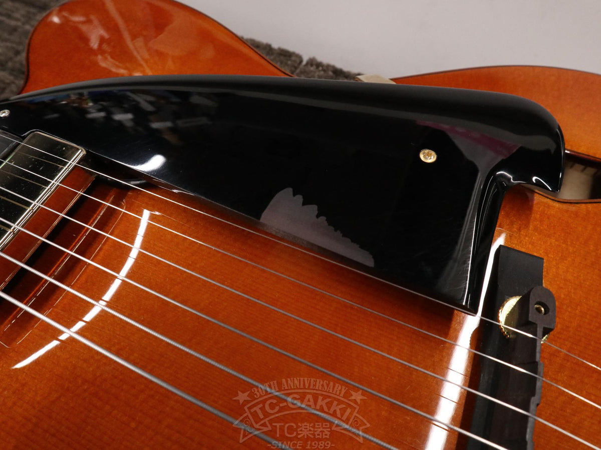 Ibanez AFC151