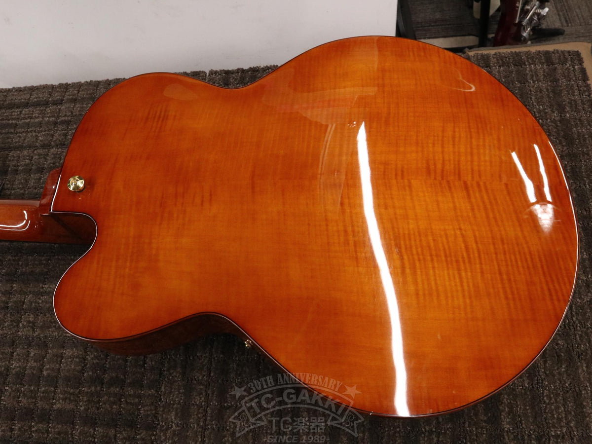 Ibanez AFC151