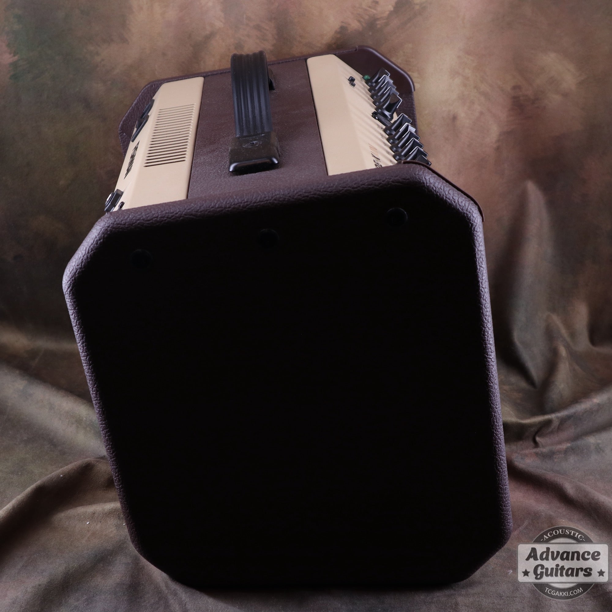 FISHMAN LOUD BOX MINI Bluetooth
