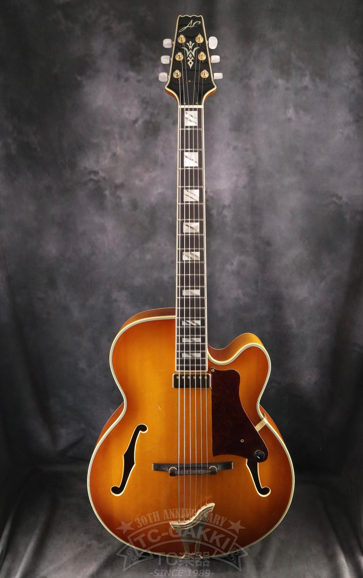 Aria Custom Shop AP-FA03
